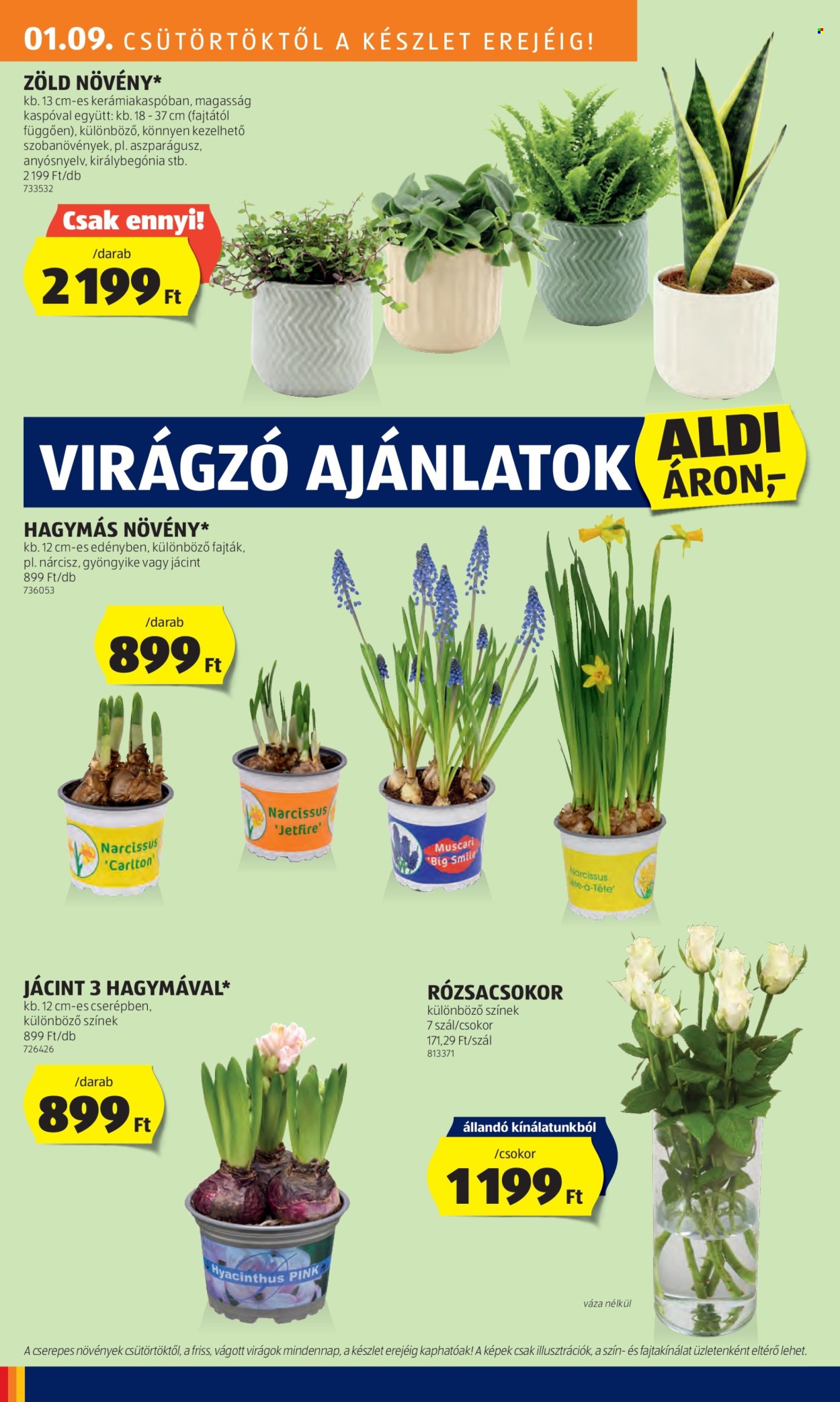 Aldi akciós újságok - 2025.01.09 - 2025.01.15. Oldal 30