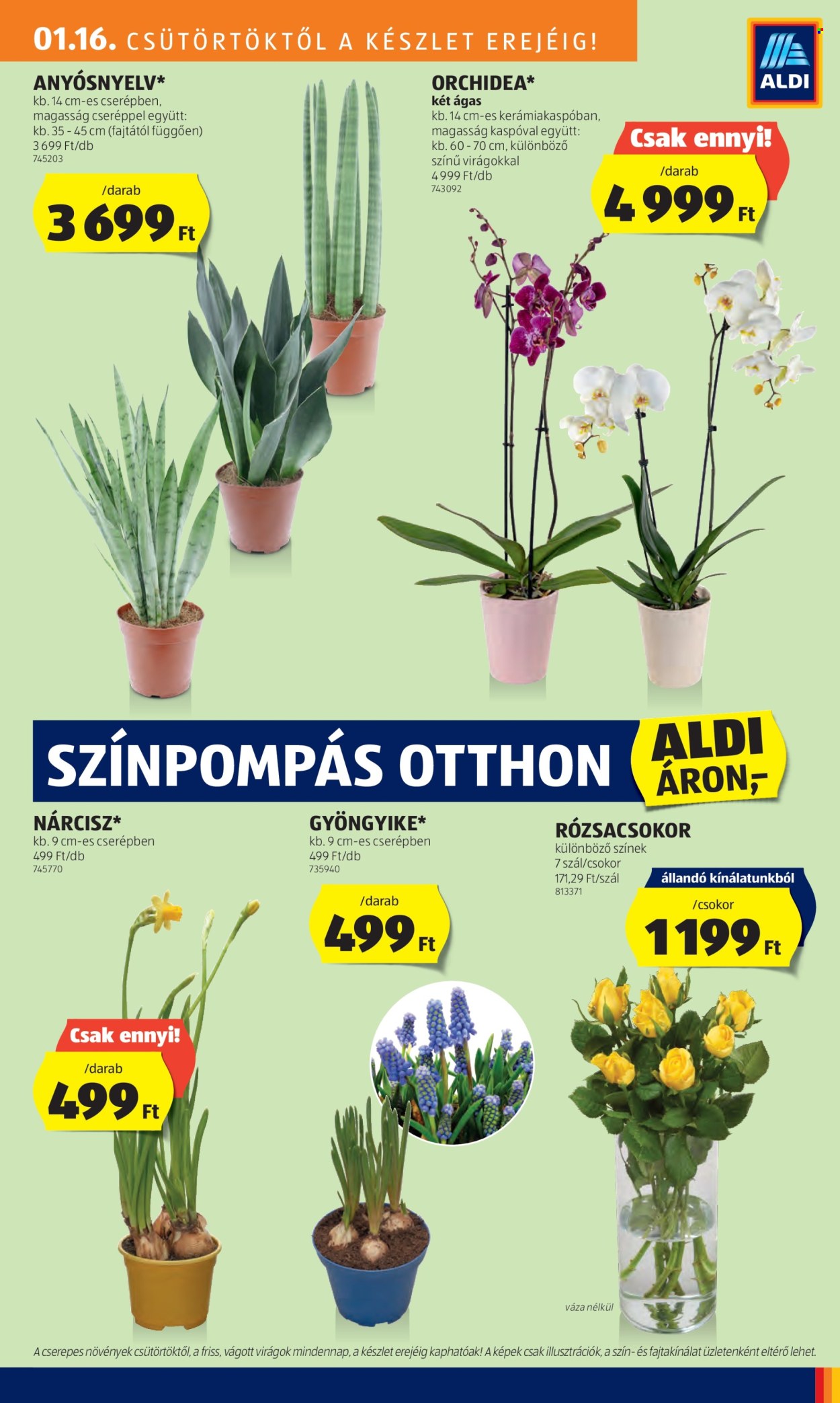 Aldi akciós újságok - 2025.01.16 - 2025.01.22. Oldal 29