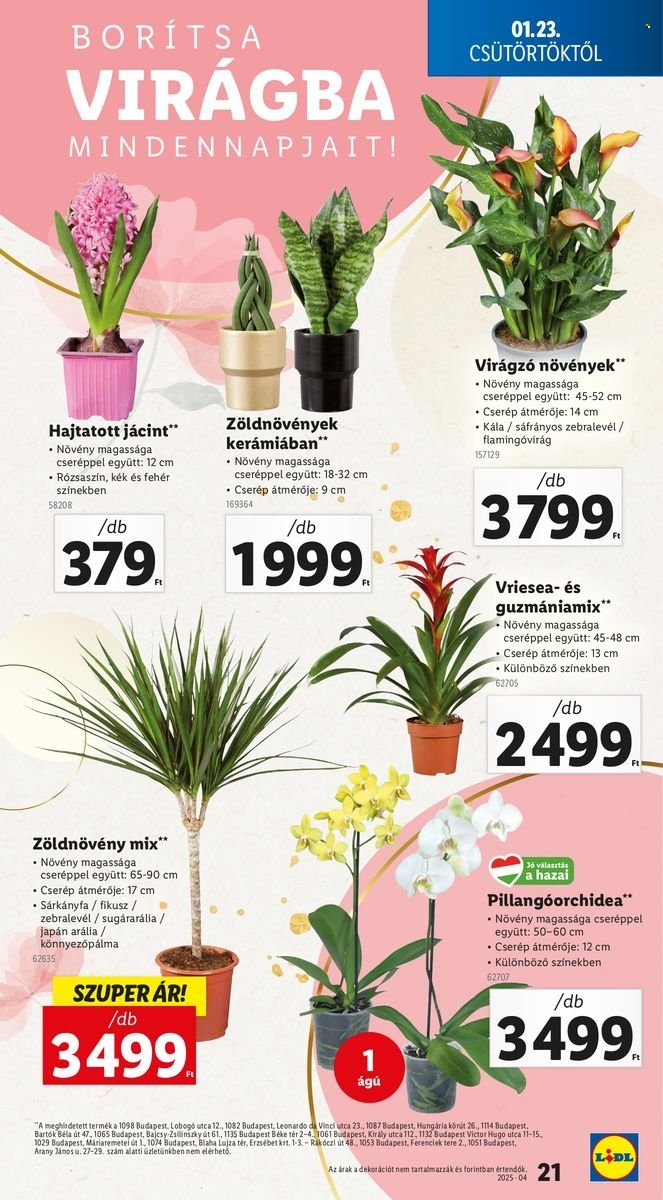 Lidl akciós újságok - 2025.01.23 - 2025.01.29. Oldal 21