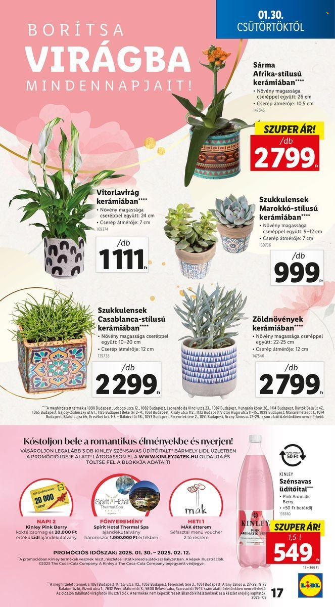 Lidl akciós újságok - 2025.01.30 - 2025.02.05. Oldal 17