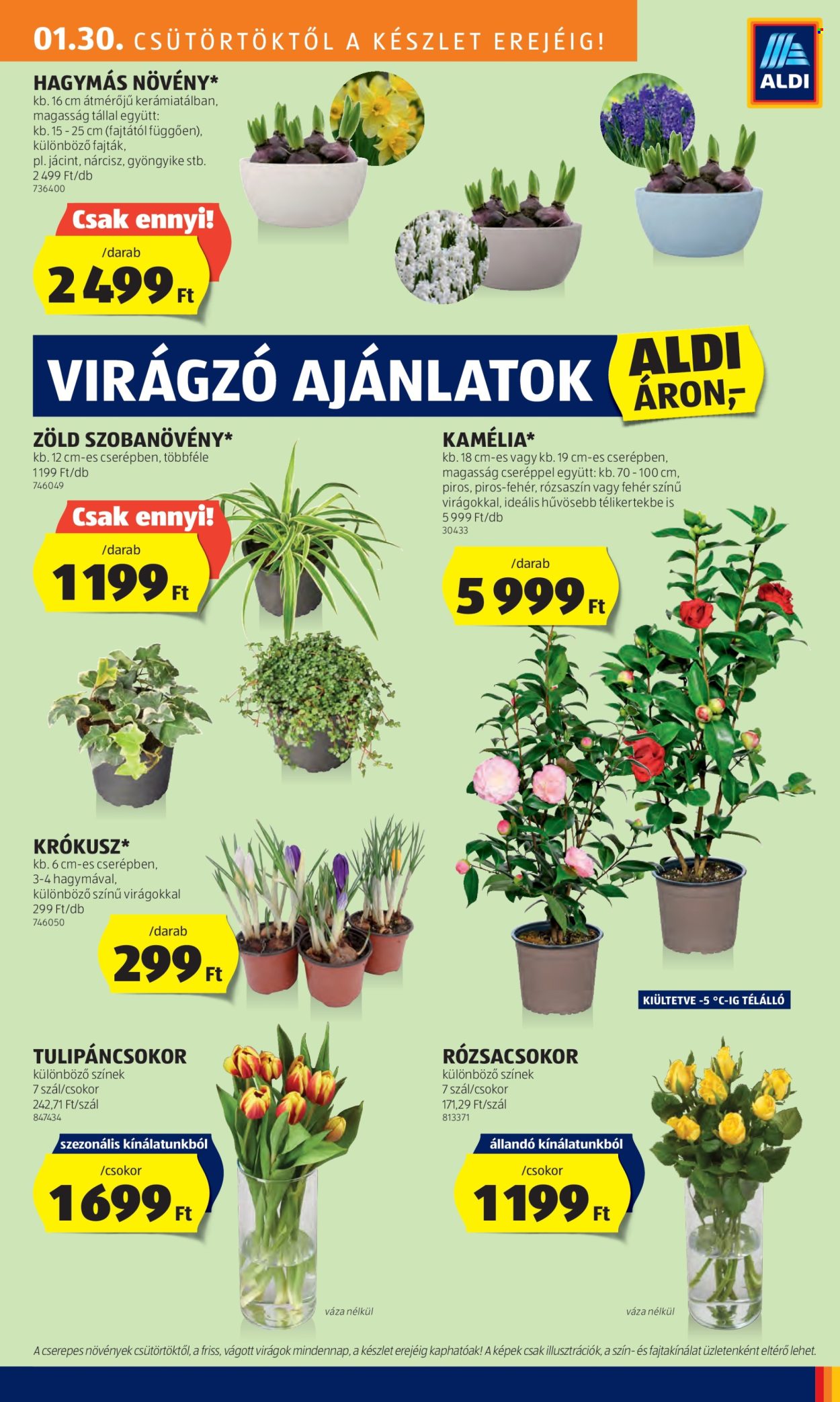 Aldi akciós újságok - 2025.01.30 - 2025.02.05. Oldal 27