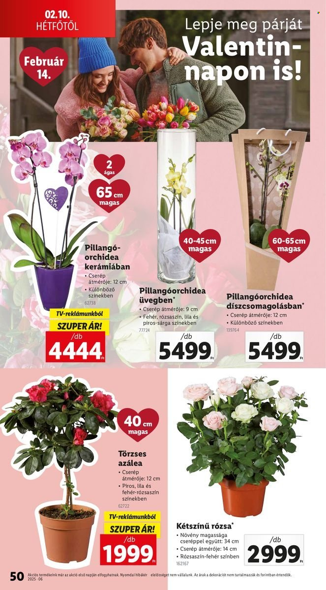Lidl akciós újságok - 2025.02.06 - 2025.02.12. Oldal 50