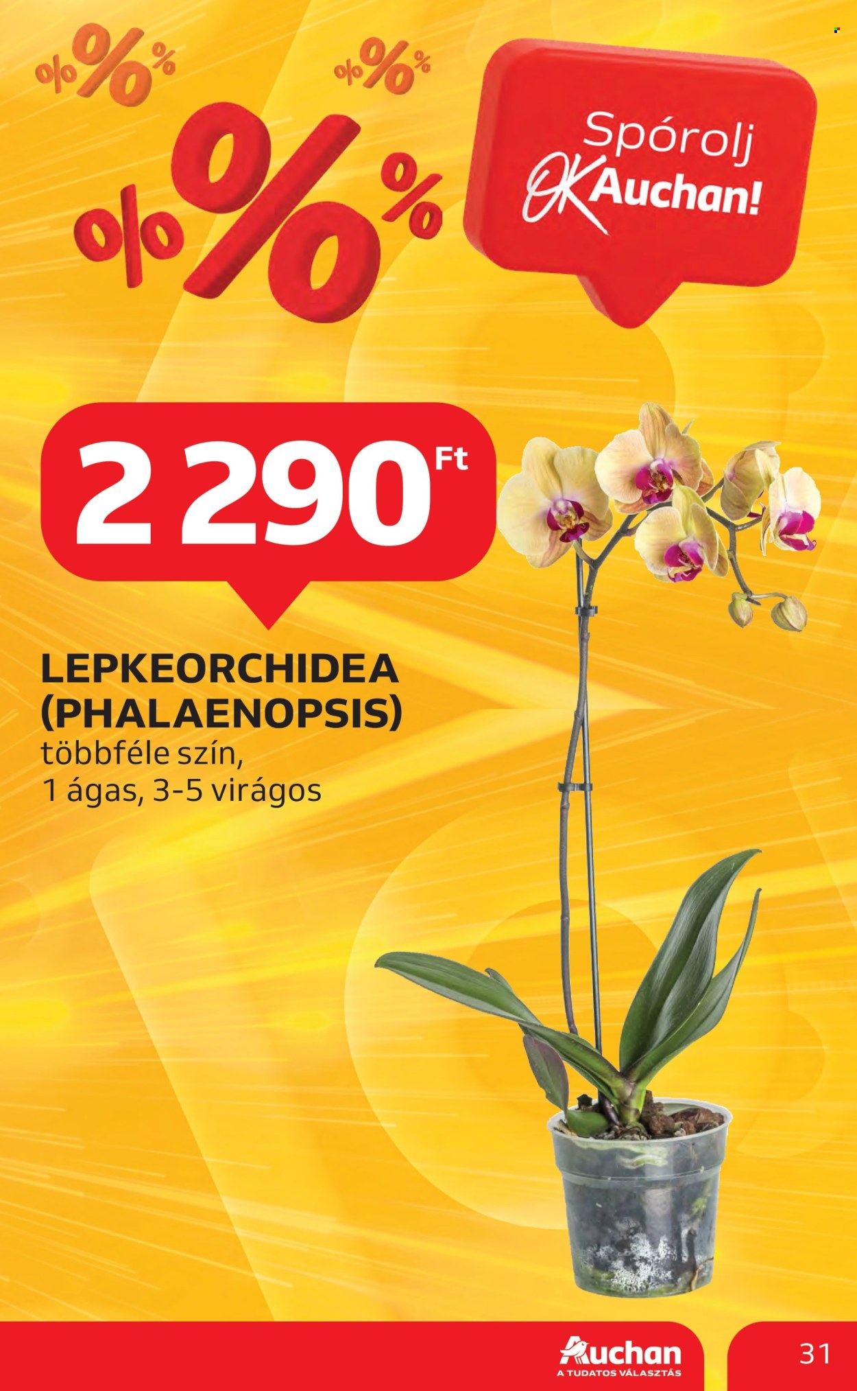 Auchan akciós újságok - 2025.02.06 - 2025.02.12. Oldal 31
