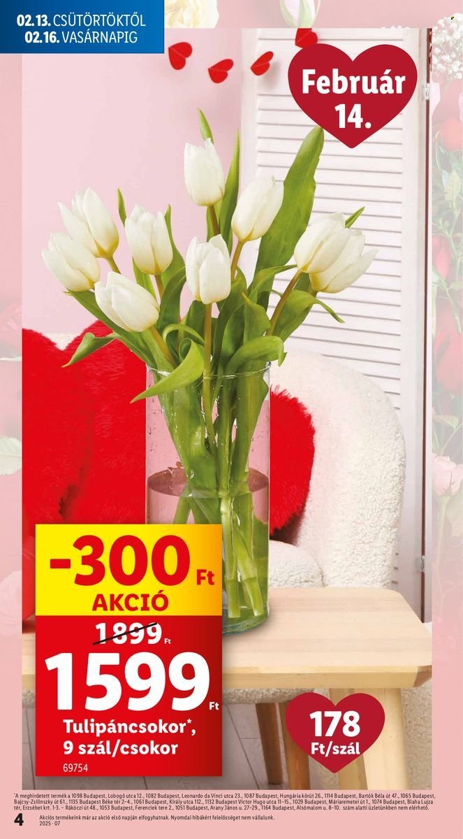 Lidl akciós újságok - 2025.02.13 - 2025.02.19. Oldal 4