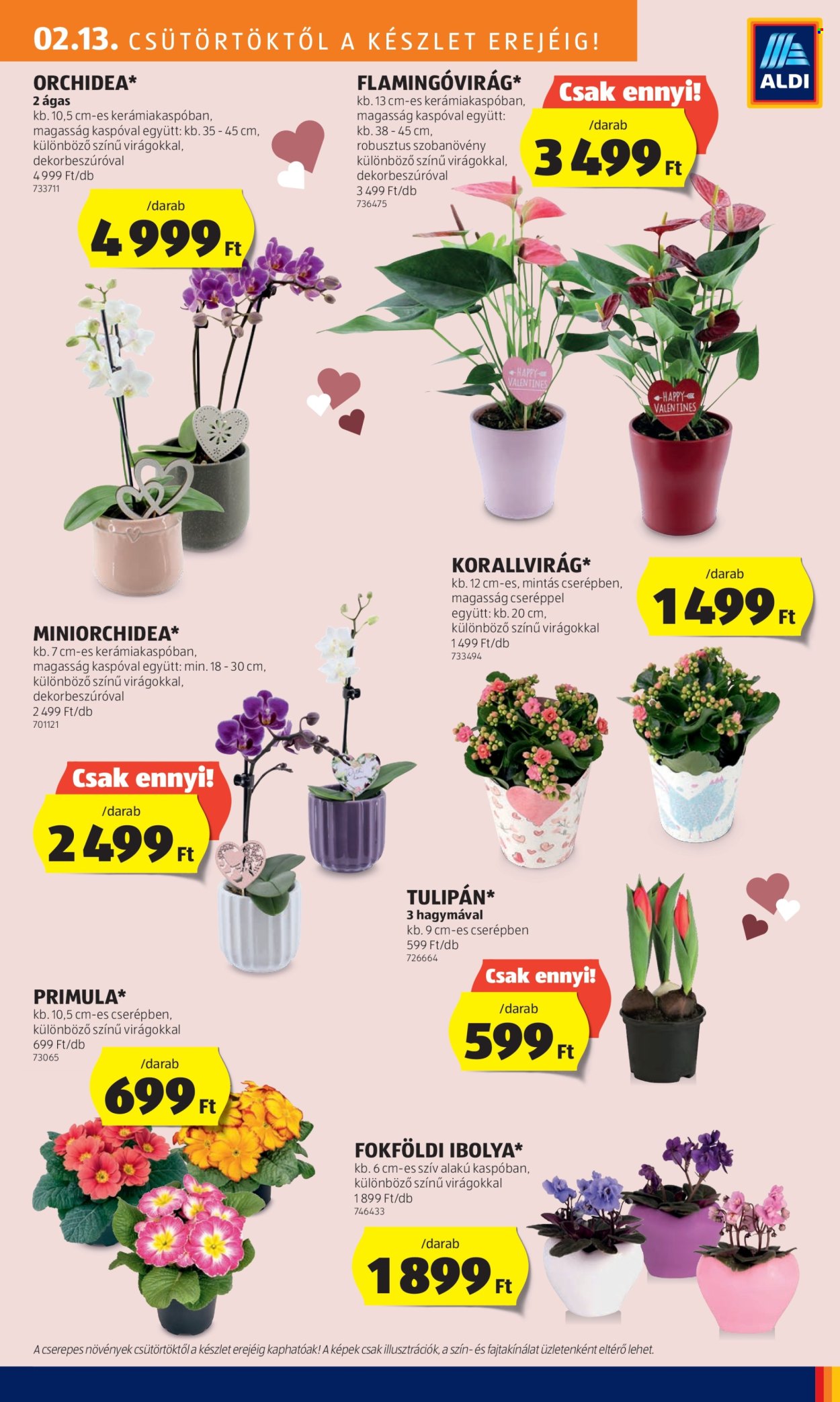 Aldi akciós újságok - 2025.02.13 - 2025.02.19. Oldal 31