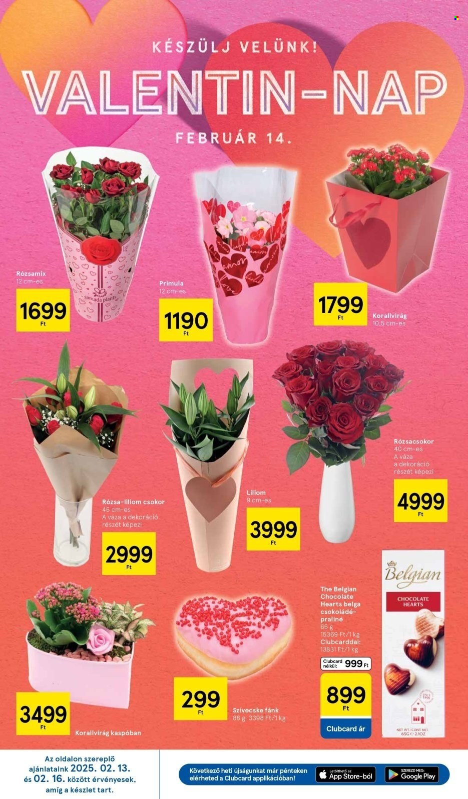 TESCO akciós újságok - 2025.02.13 - 2025.02.19. Oldal 10