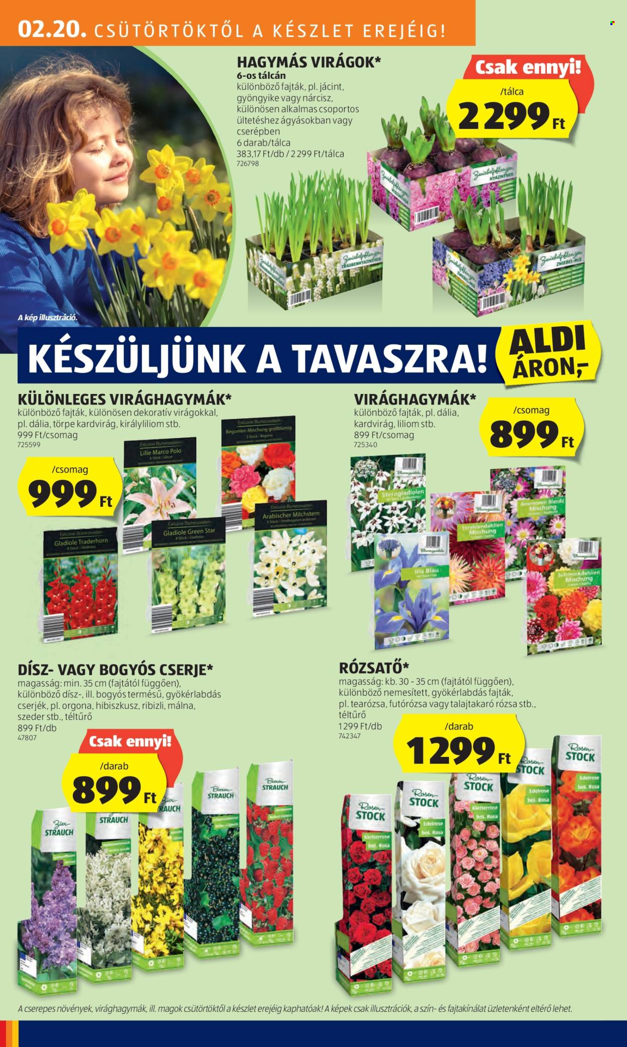 Aldi akciós újságok - 2025.02.20 - 2025.02.26. Oldal 34