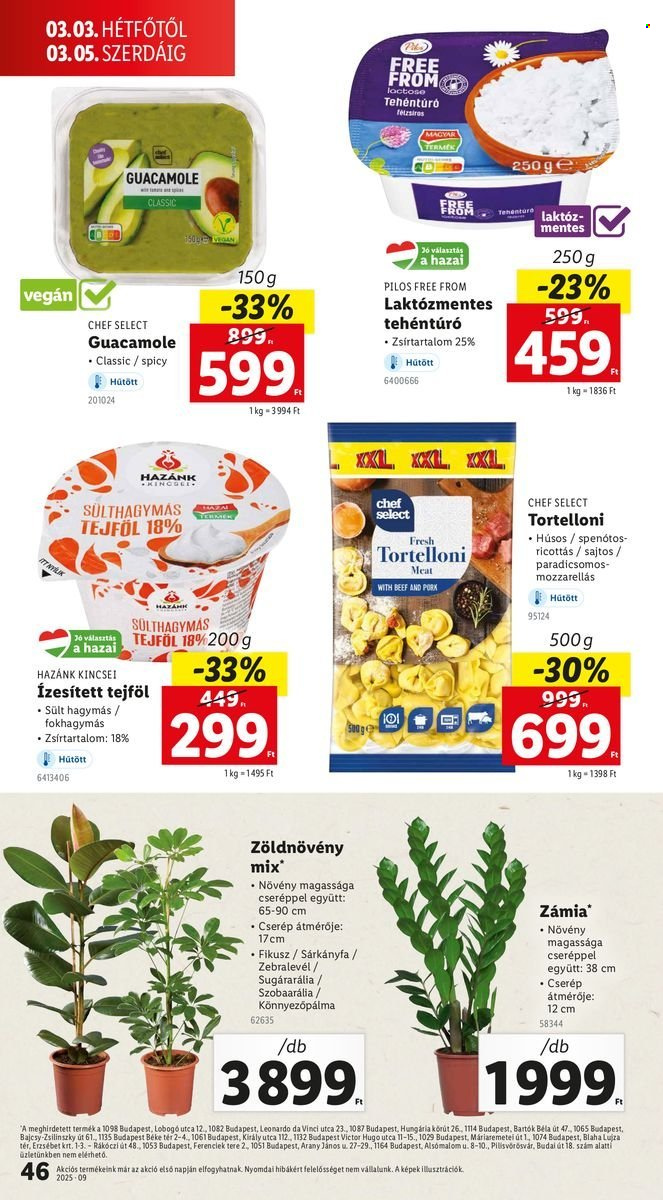 Lidl akciós újságok - 2025.02.27 - 2025.03.05. Oldal 46
