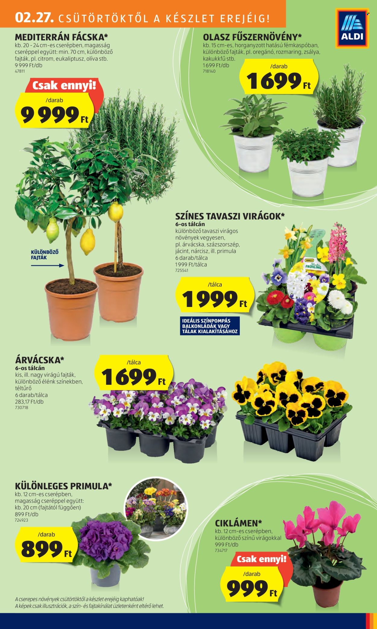 Aldi akciós újságok - 2025.02.27 - 2025.03.05. Oldal 29