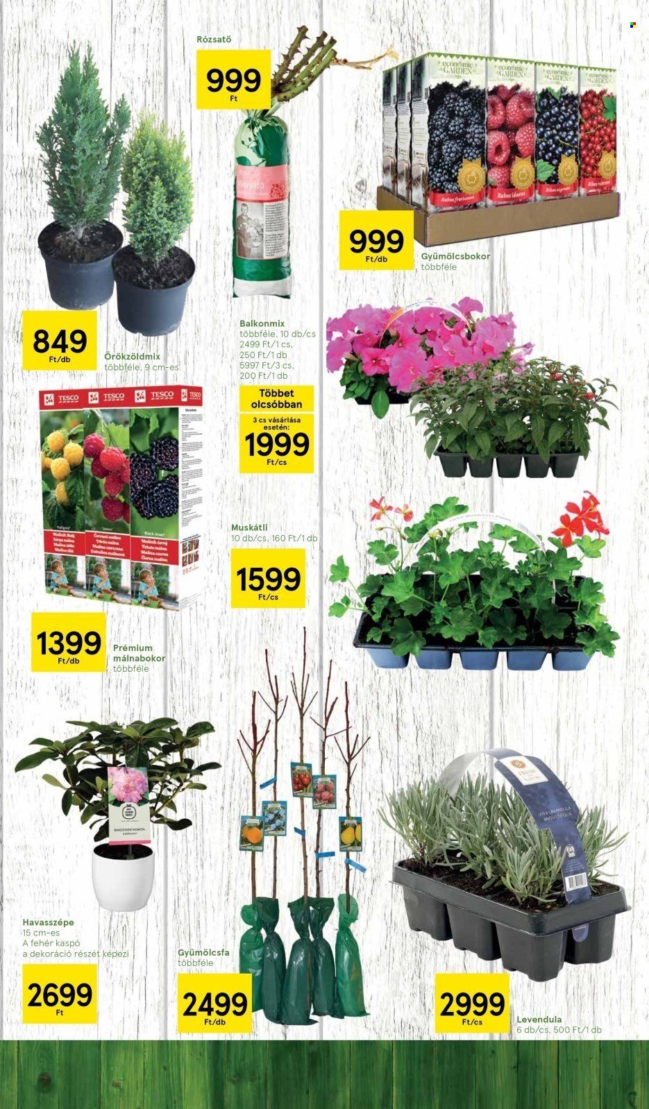 TESCO akciós újságok. Oldal 17