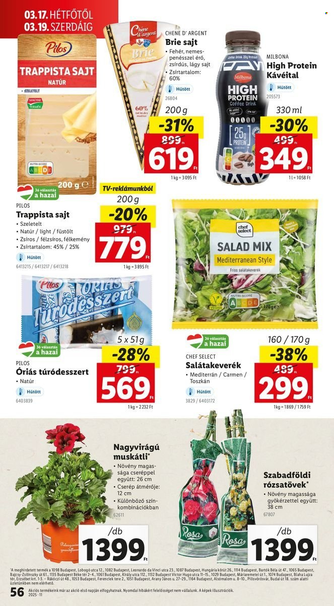 Lidl akciós újságok - 2025.03.13 - 2025.03.19. Oldal 56
