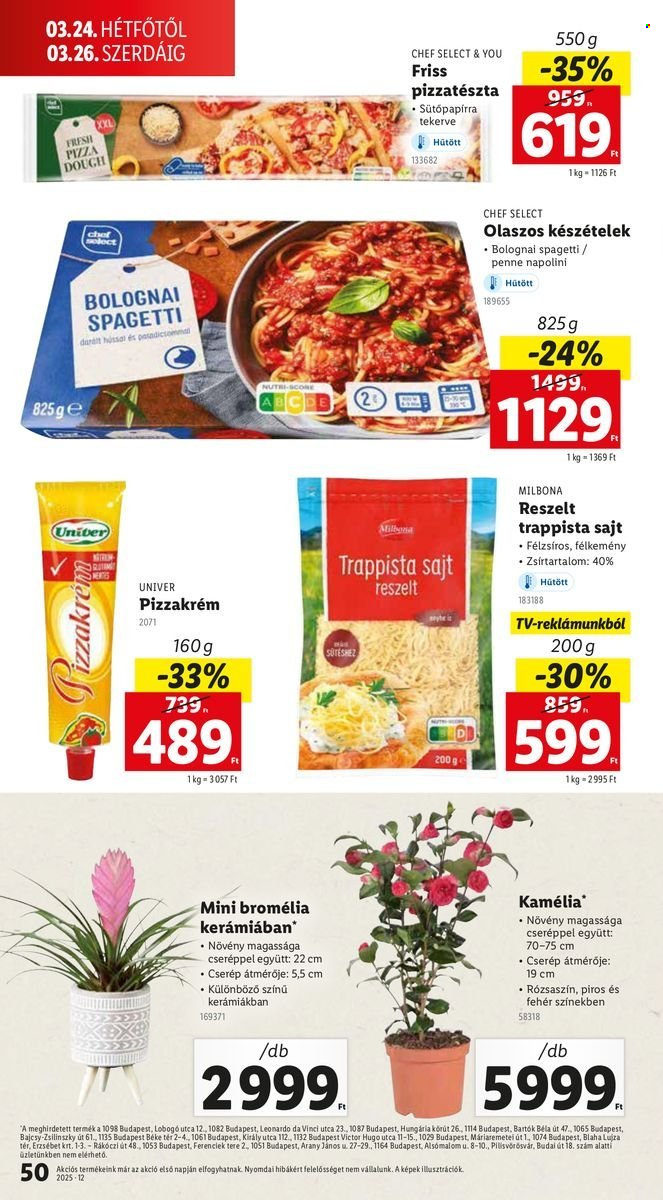 Lidl akciós újságok - 2025.03.20 - 2025.03.26. Oldal 50