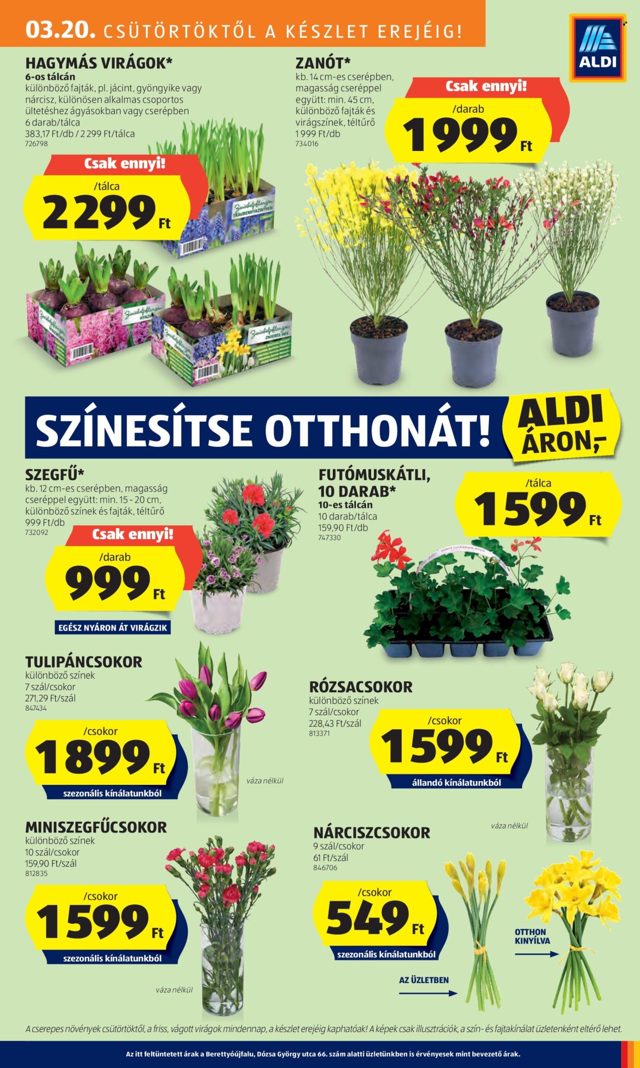 Aldi akciós újságok - 2025.03.20 - 2025.03.26. Oldal 29