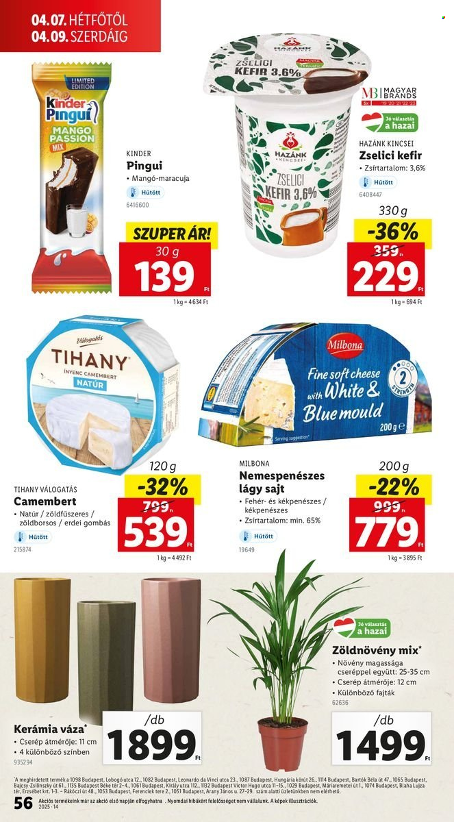 Lidl akciós újságok - 2025.04.03 - 2025.04.09. Oldal 58
