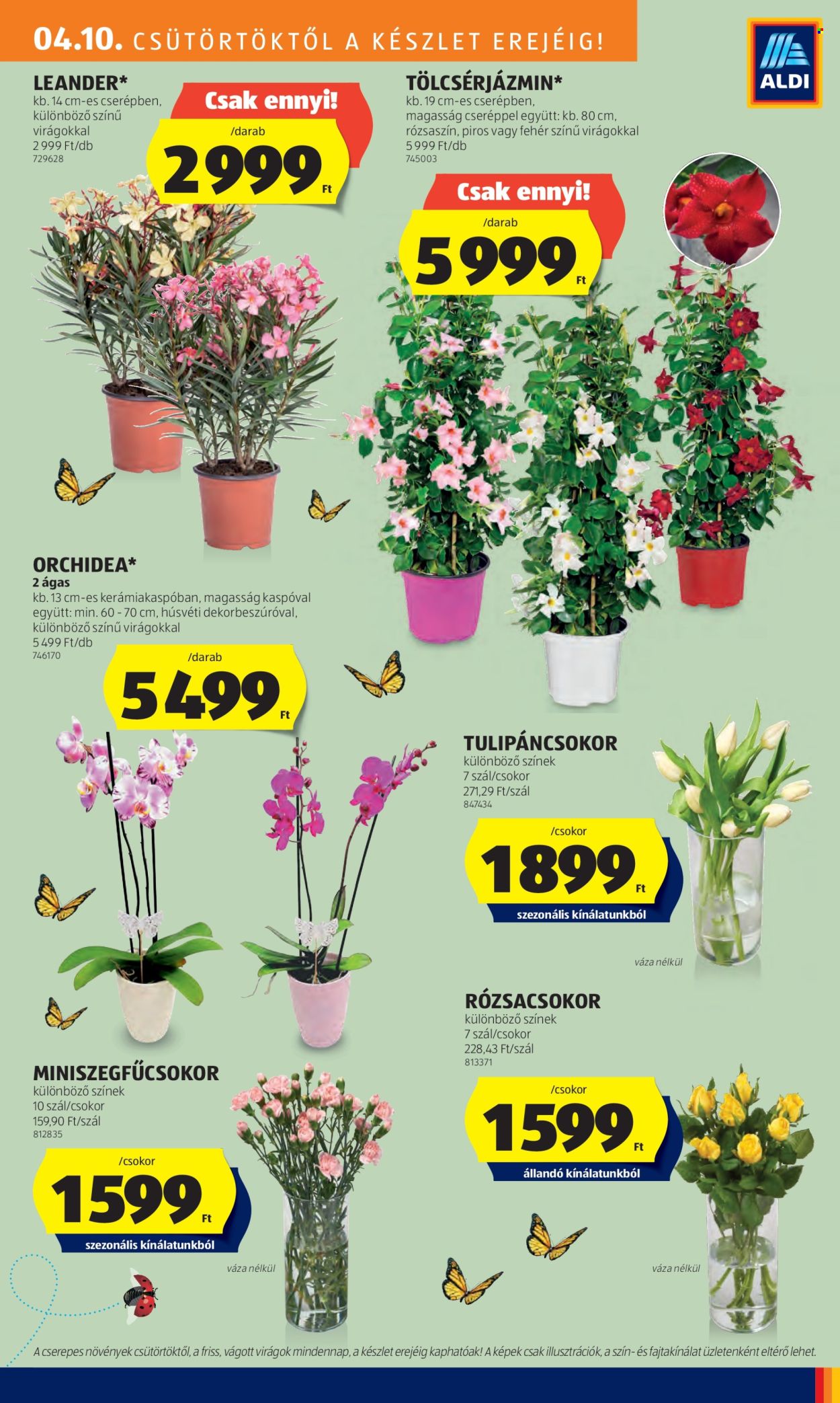 Aldi akciós újságok - 2025.04.10 - 2025.04.16. Oldal 35