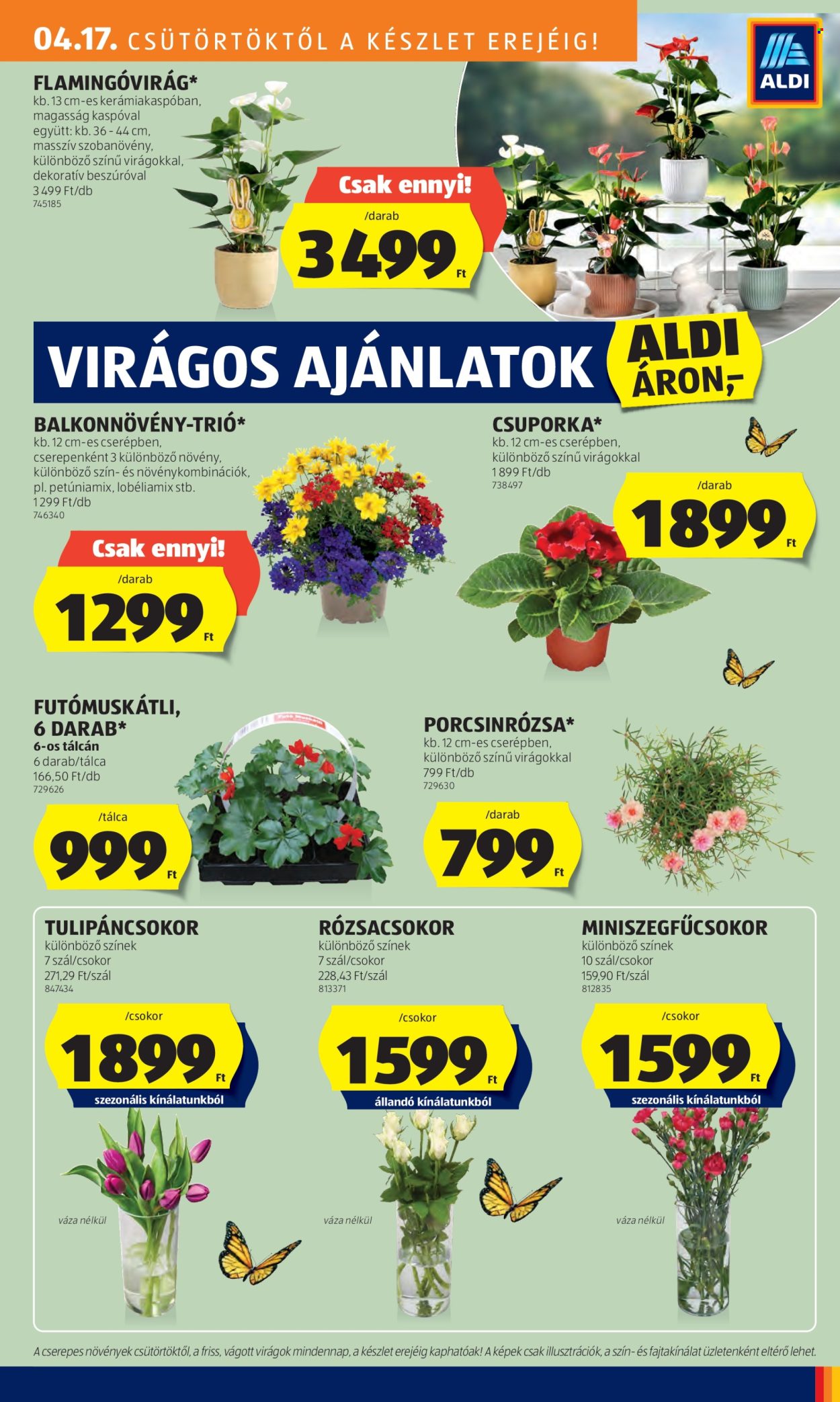 Aldi akciós újságok - 2025.04.17 - 2025.04.23. Oldal 27