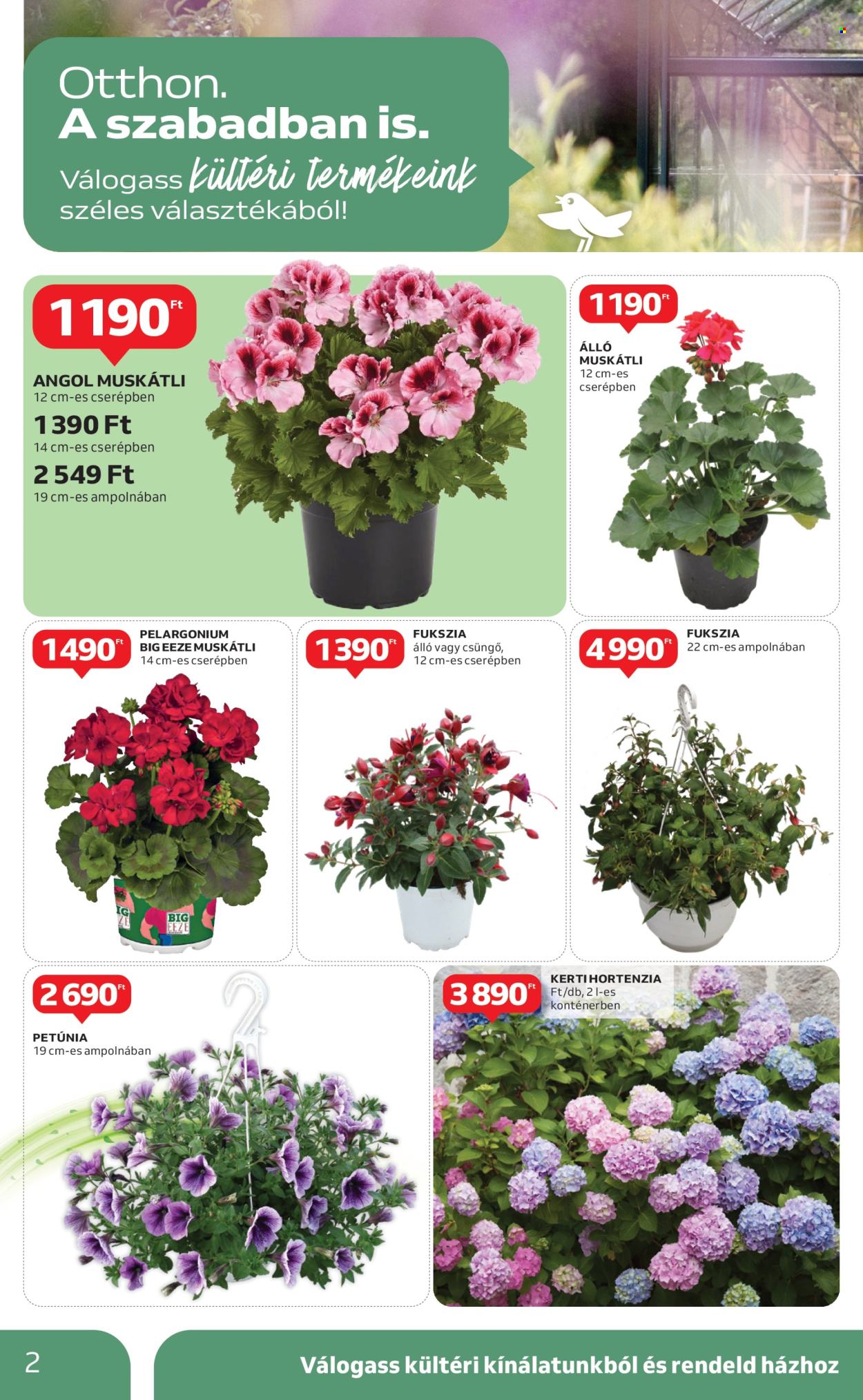 Auchan akciós újságok - 2025.04.24 - 2025.05.14. Oldal 2