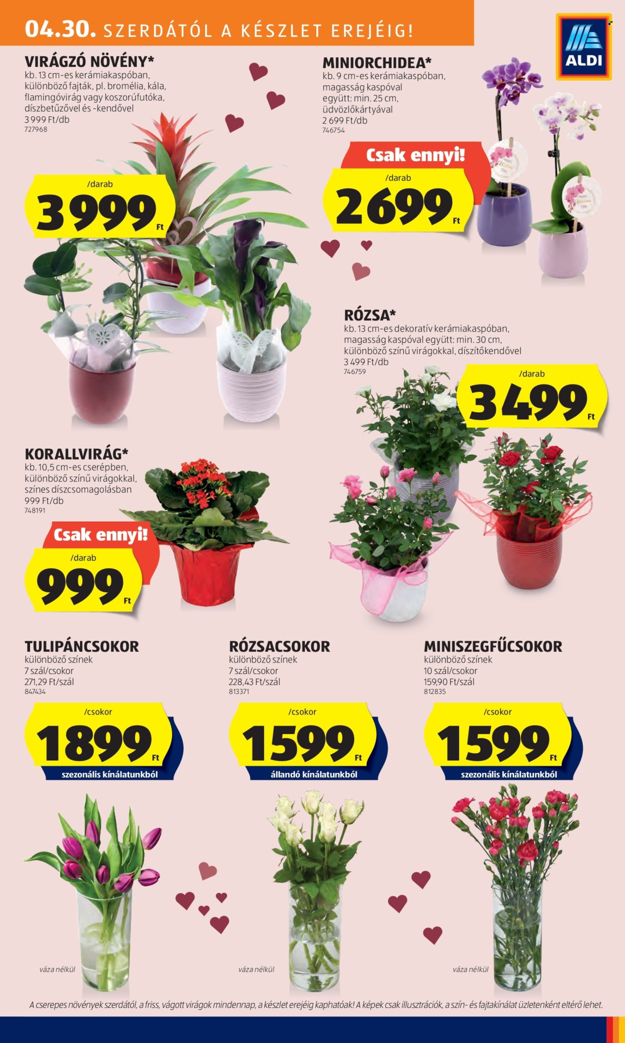 Aldi akciós újságok - 2025.04.30 - 2025.05.07. Oldal 19