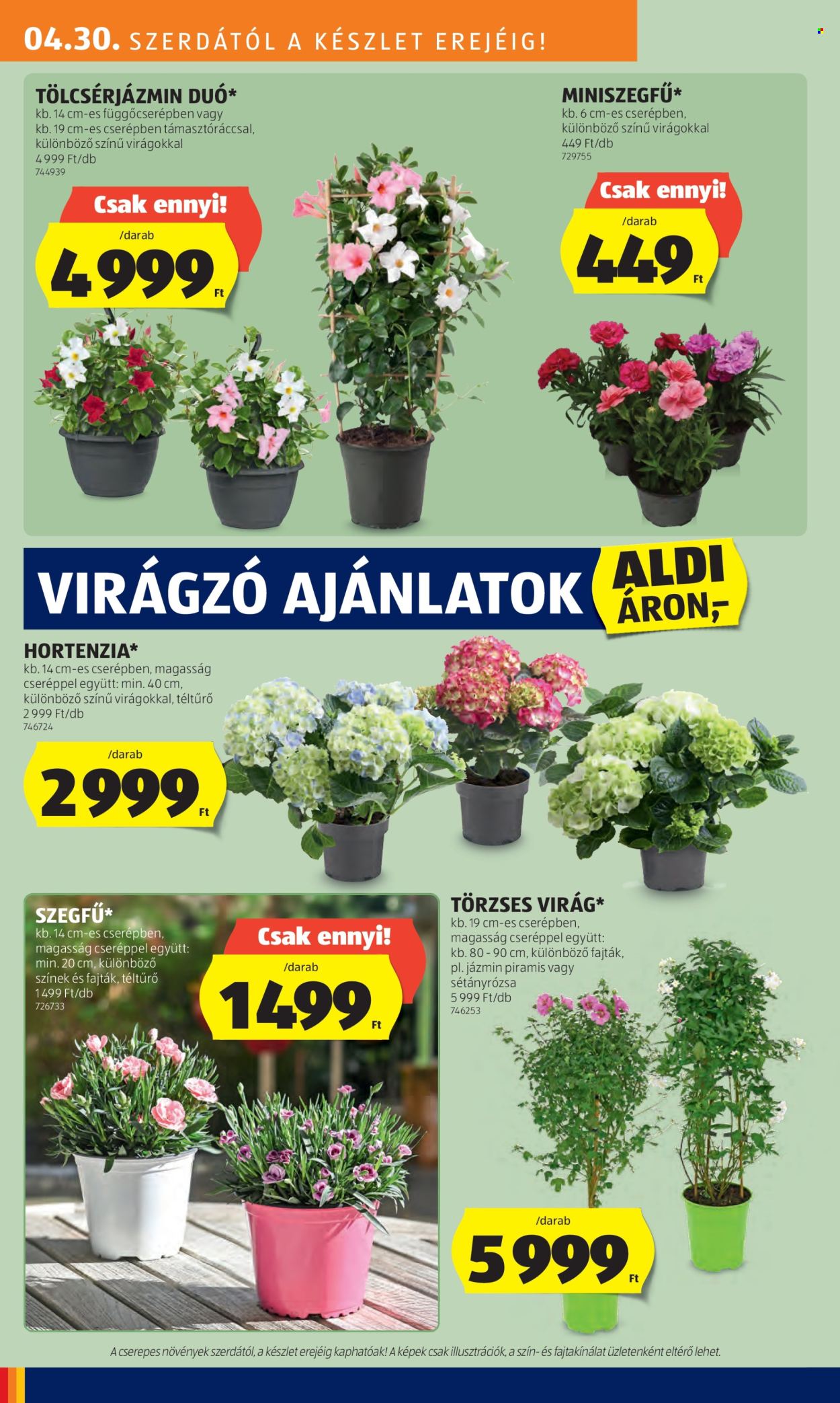 Aldi akciós újságok - 2025.04.30 - 2025.05.07. Oldal 8