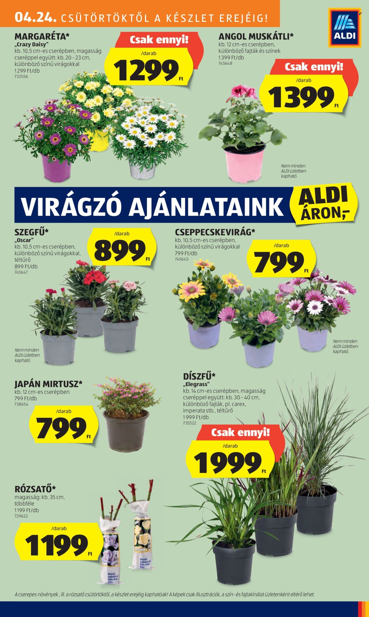 Aldi akciós újságok - 2025.04.24 - 2025.04.29. Oldal 13