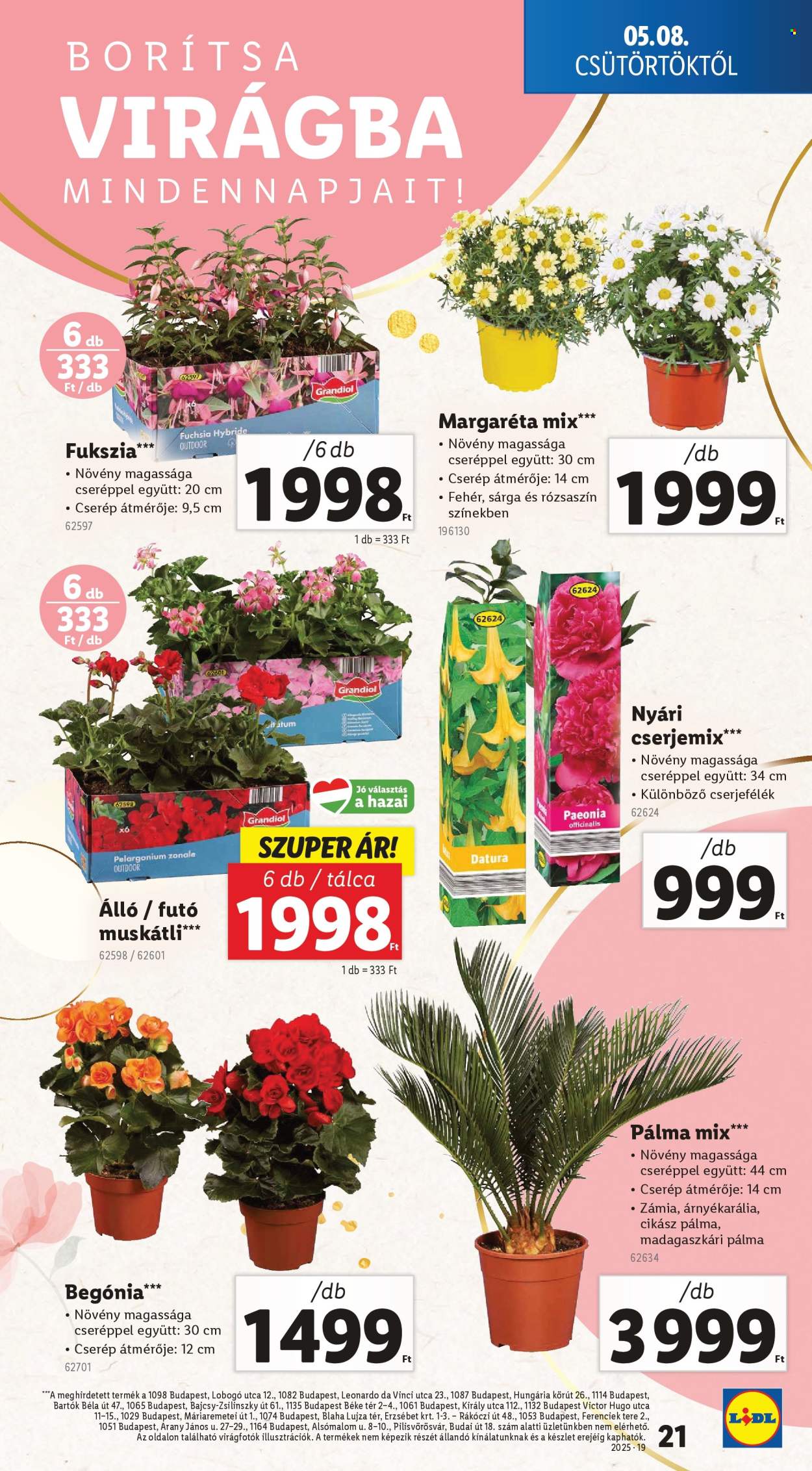 Lidl akciós újságok - 2025.05.08 - 2025.05.14. Oldal 19