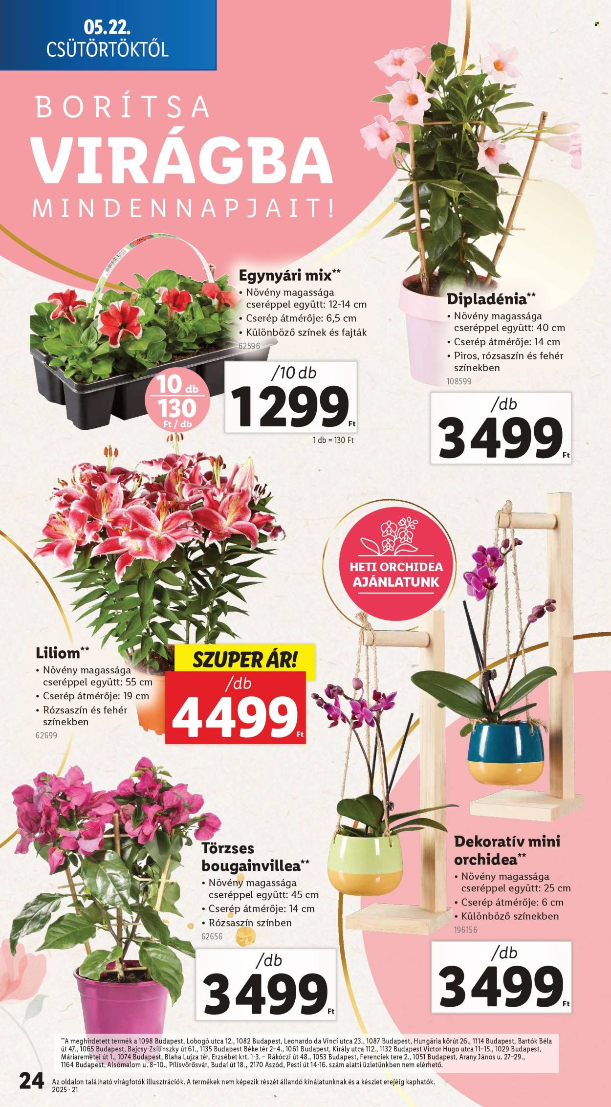 Lidl akciós újságok - 2025.05.21 - 2025.05.28. Oldal 24