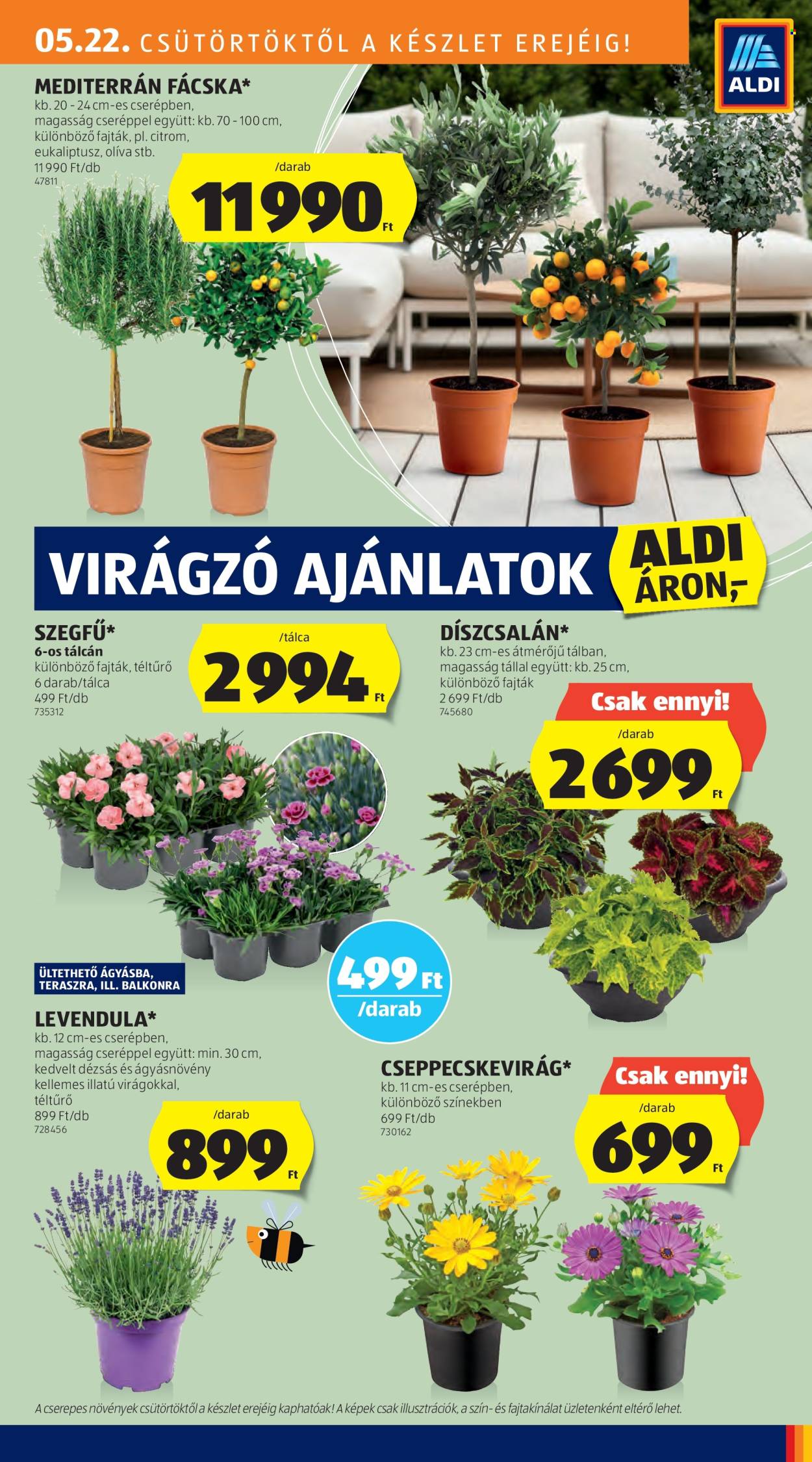 Aldi akciós újságok - 2025.05.22 - 2025.05.28. Oldal 15