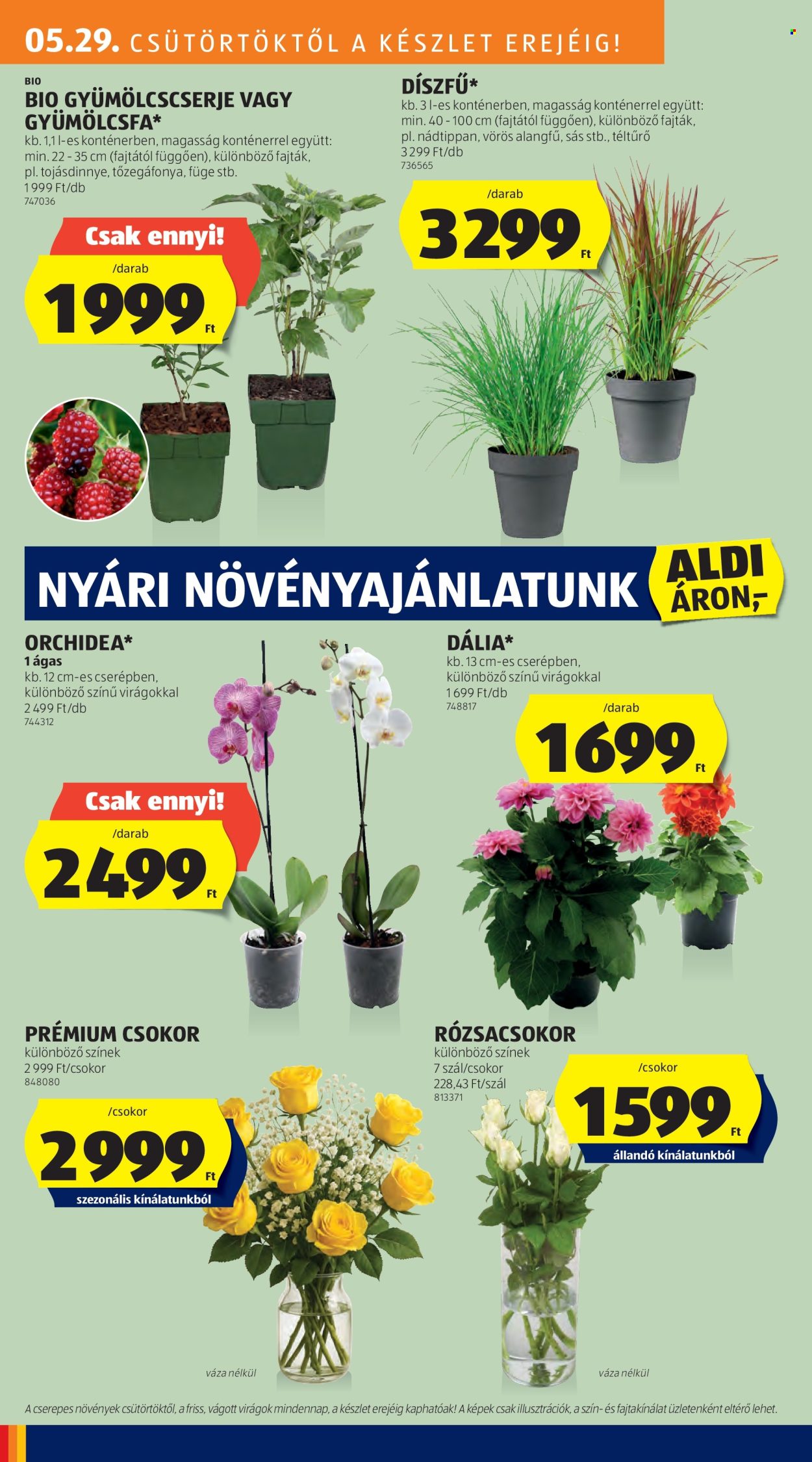 Aldi akciós újságok - 2025.05.29 - 2025.06.04. Oldal 30