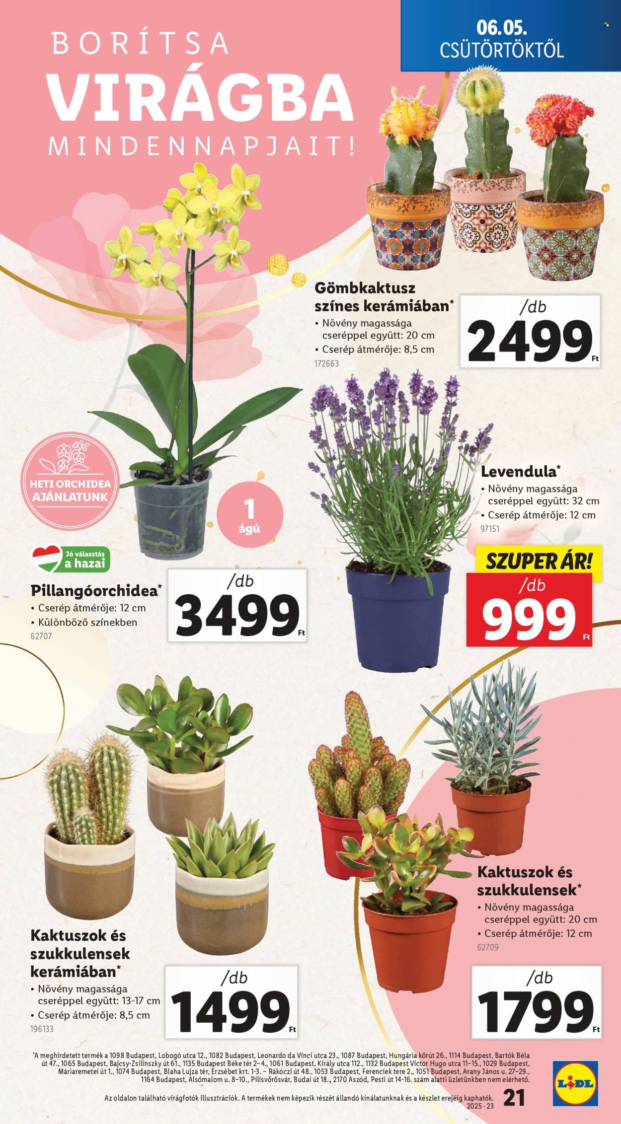 Lidl akciós újságok - 2025.06.05 - 2025.06.11. Oldal 21