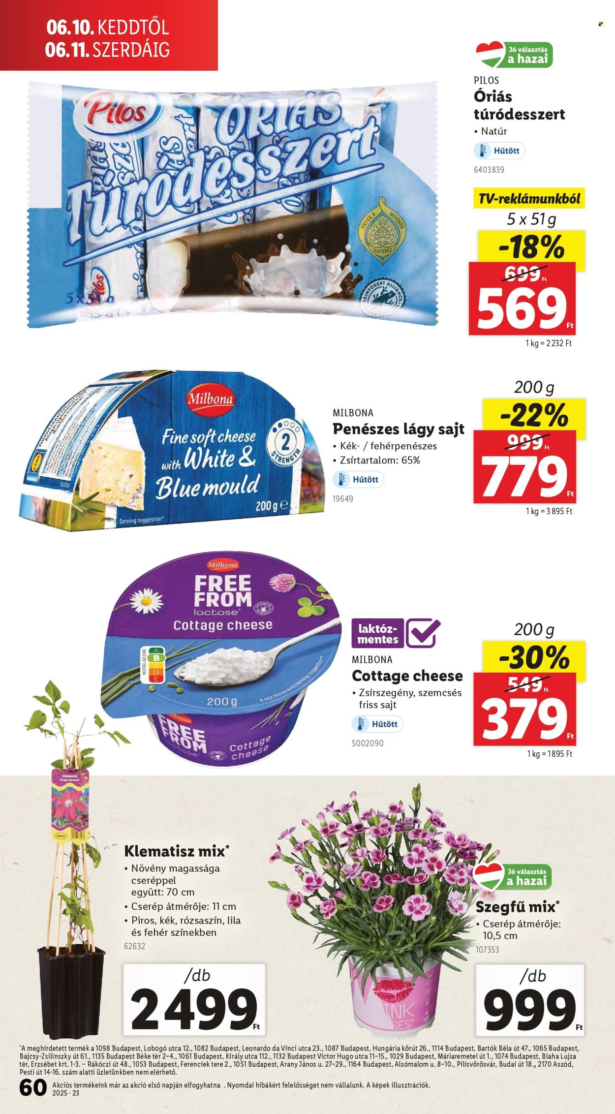 Lidl akciós újságok - 2025.06.05 - 2025.06.11. Oldal 60