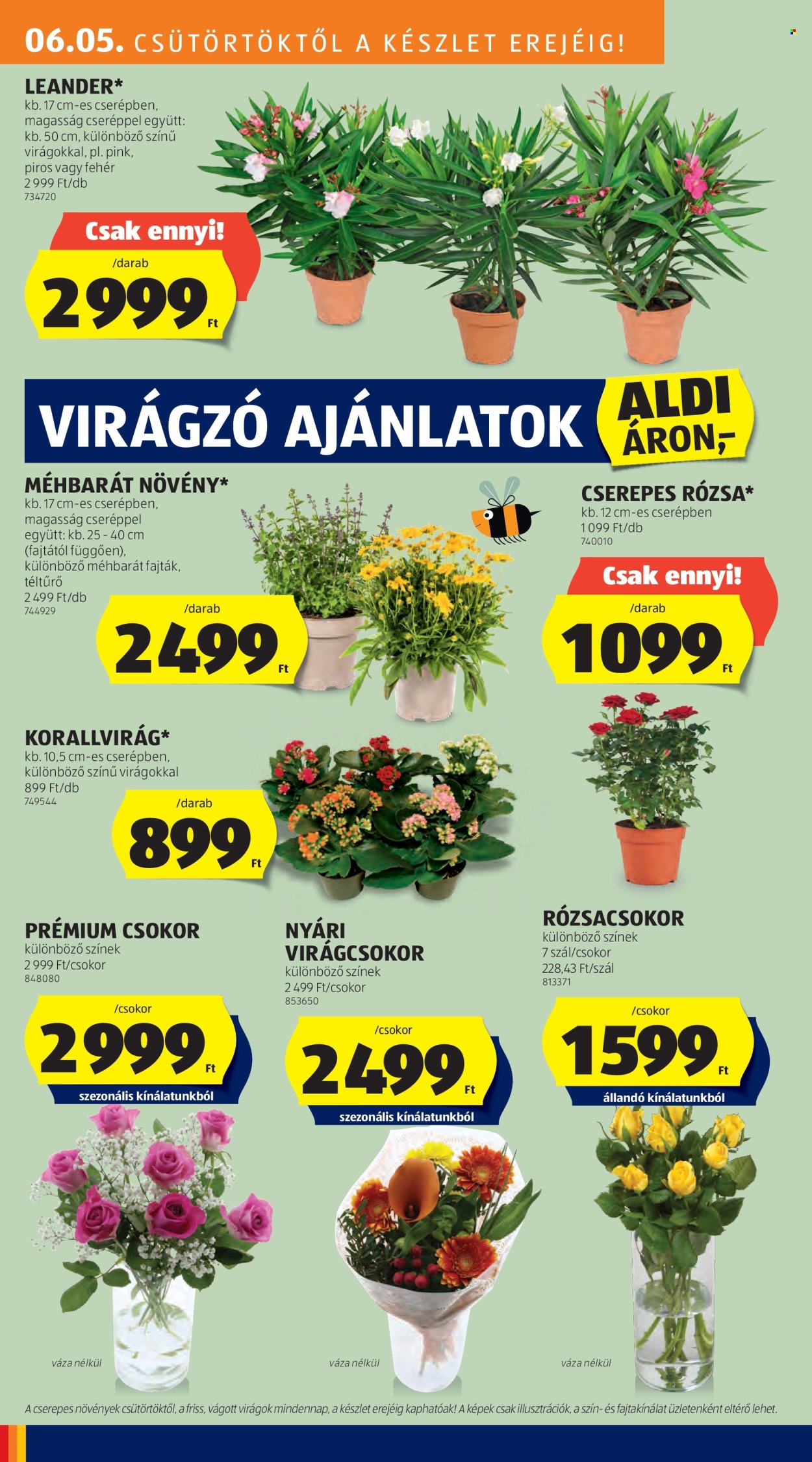 Aldi akciós újságok - 2025.06.05 - 2025.06.11. Oldal 10
