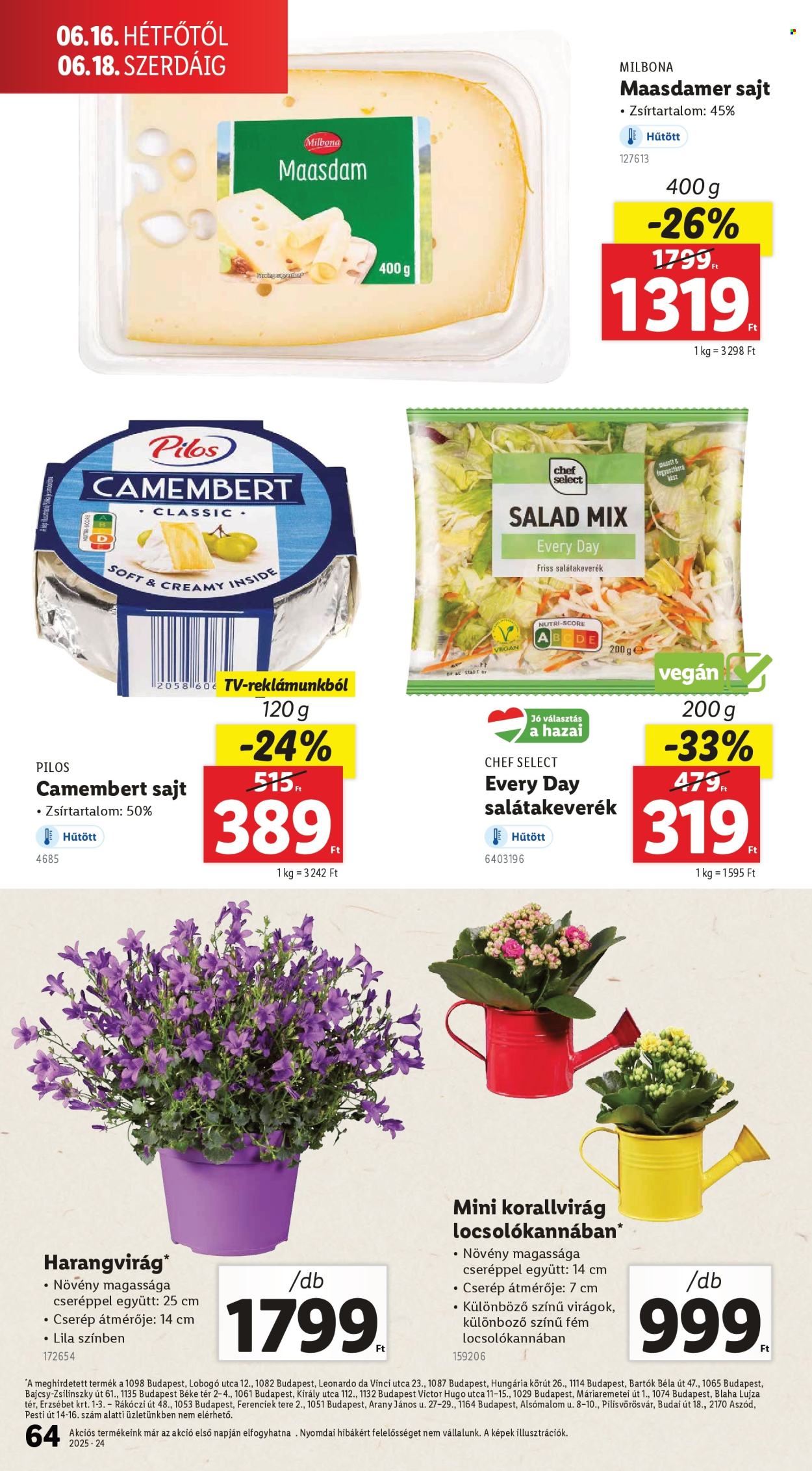 Lidl akciós újságok - 2025.06.12 - 2025.06.18. Oldal 64