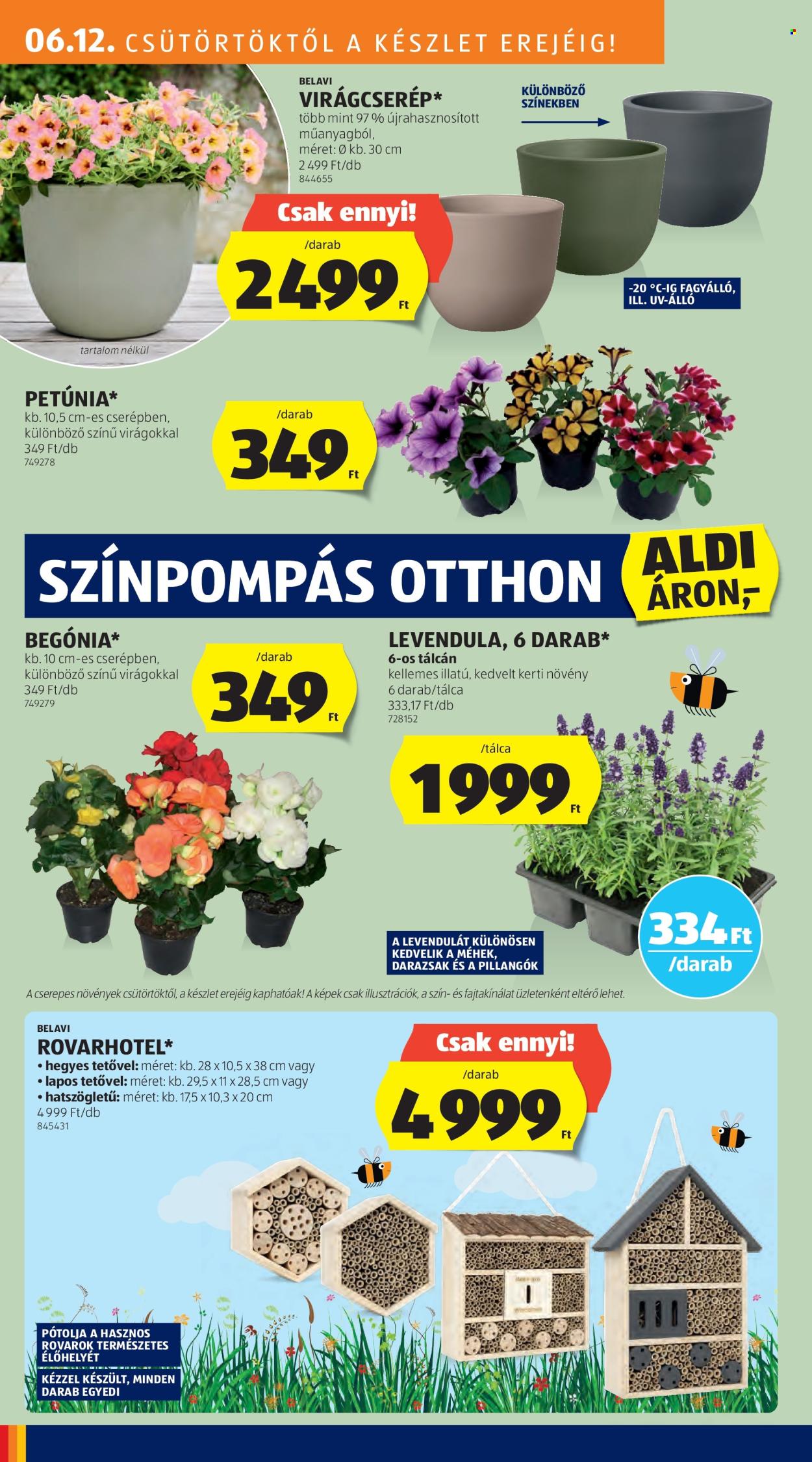 Aldi akciós újságok - 2025.06.12 - 2025.06.18. Oldal 10