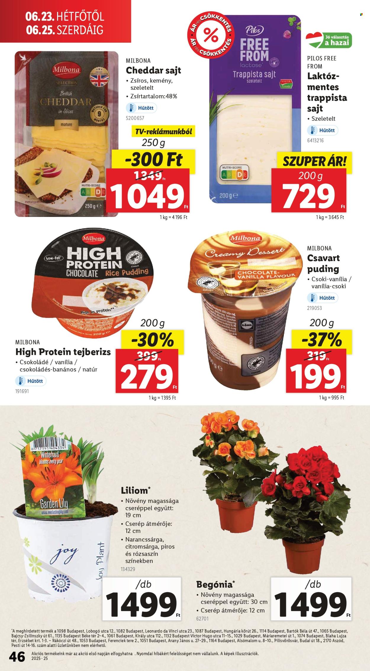 Lidl akciós újságok - 2025.06.19 - 2025.06.25. Oldal 46