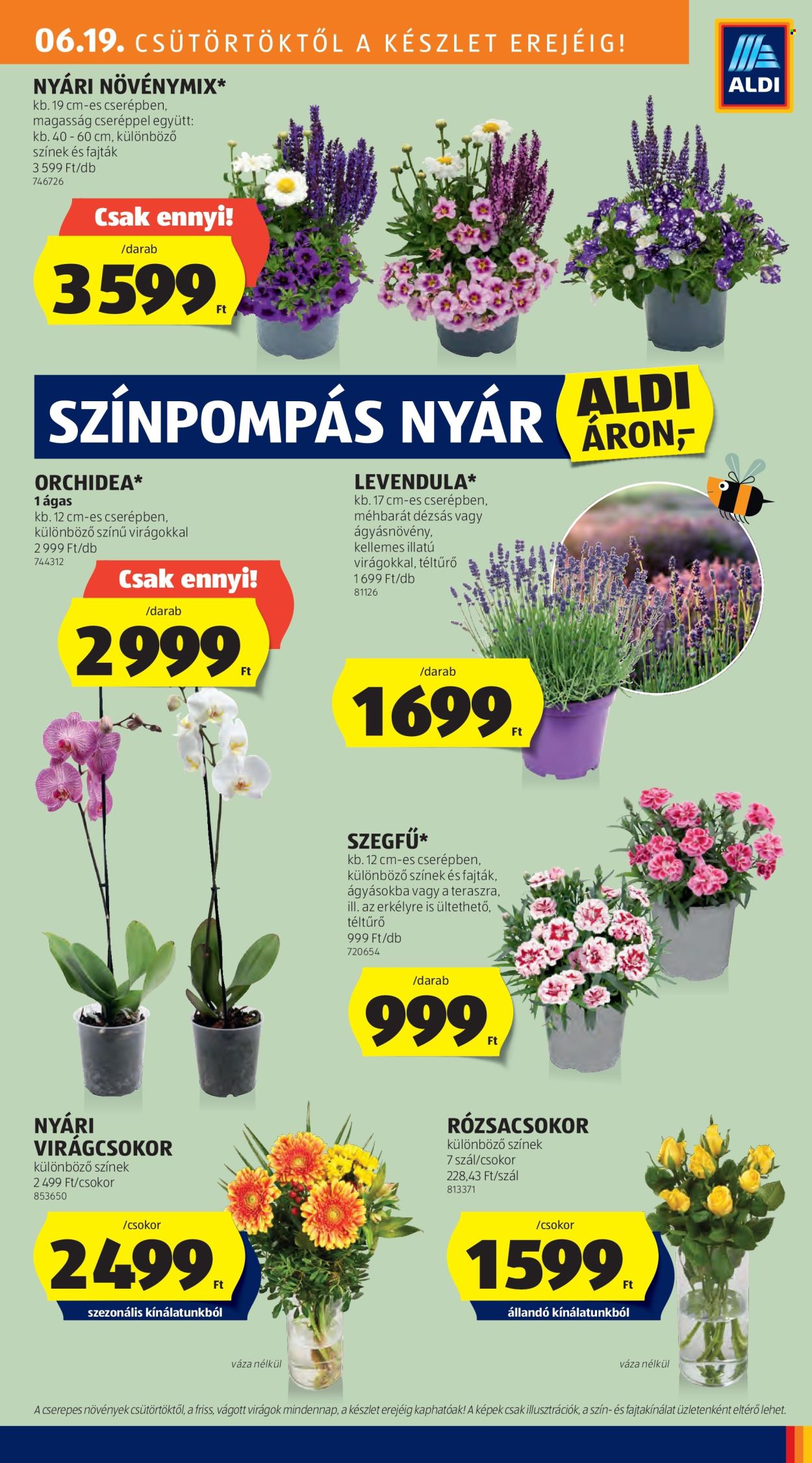 Aldi akciós újságok - 2025.06.19 - 2025.06.25. Oldal 9