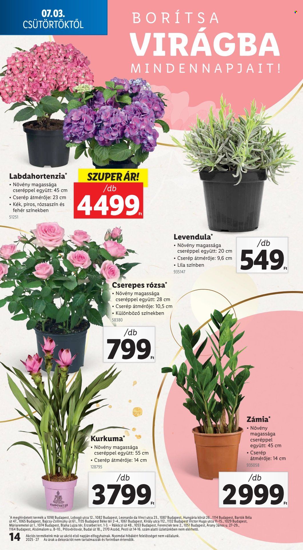 Lidl akciós újságok - 2025.07.03 - 2025.07.09. Oldal 14