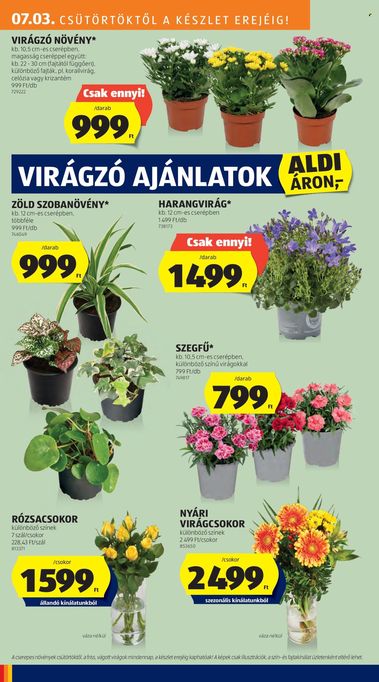 Aldi akciós újságok - 2025.07.03 - 2025.07.09. Oldal 28