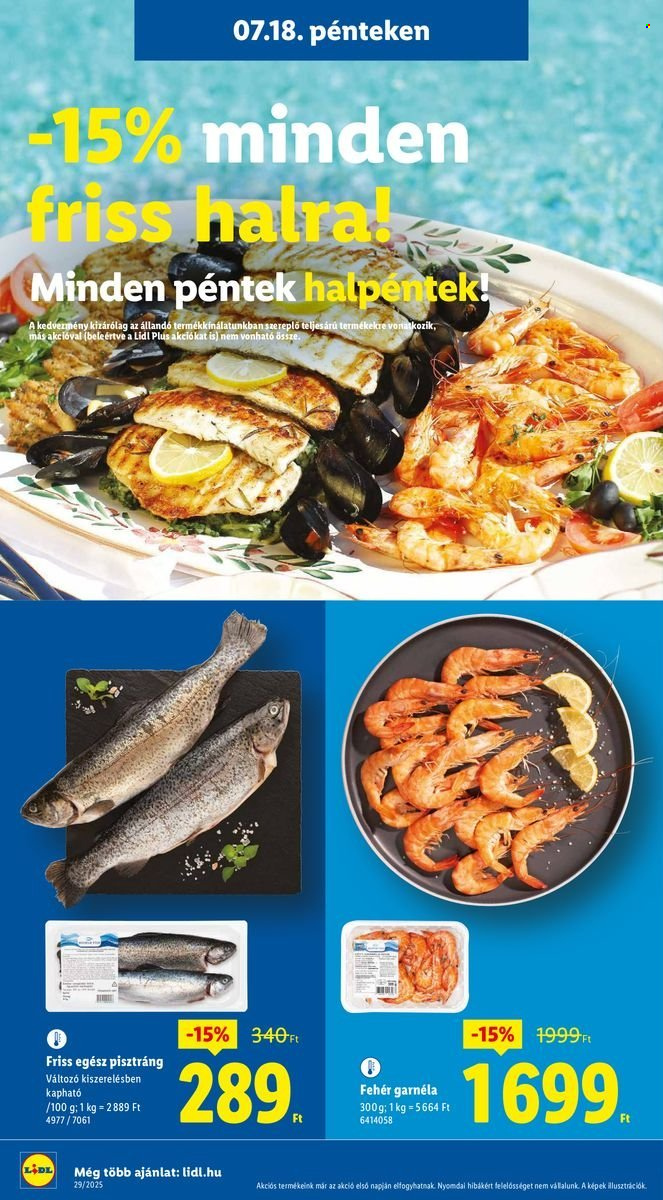 Lidl akciós újságok - 2025.07.17 - 2025.07.23. Oldal 40