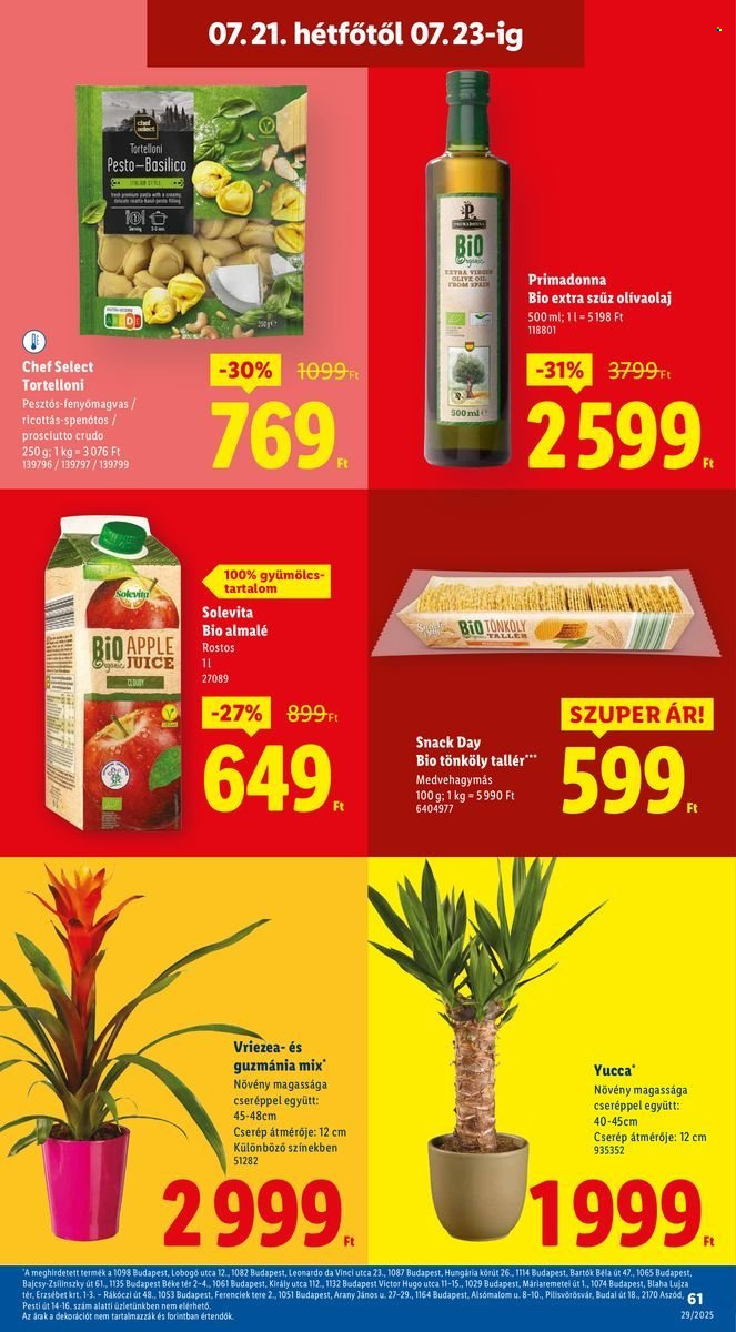 Lidl akciós újságok - 2025.07.17 - 2025.07.23. Oldal 61
