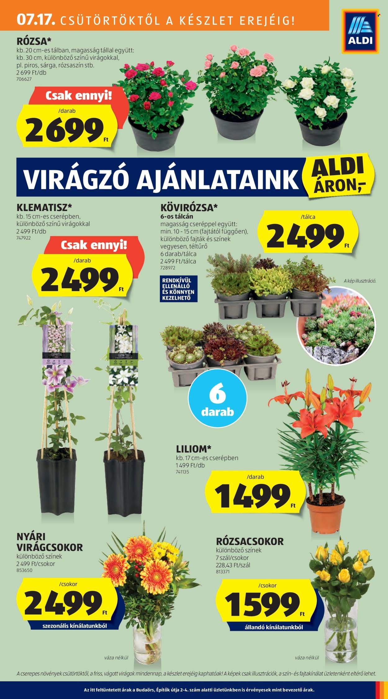 Aldi akciós újságok - 2025.07.17 - 2025.07.23. Oldal 11
