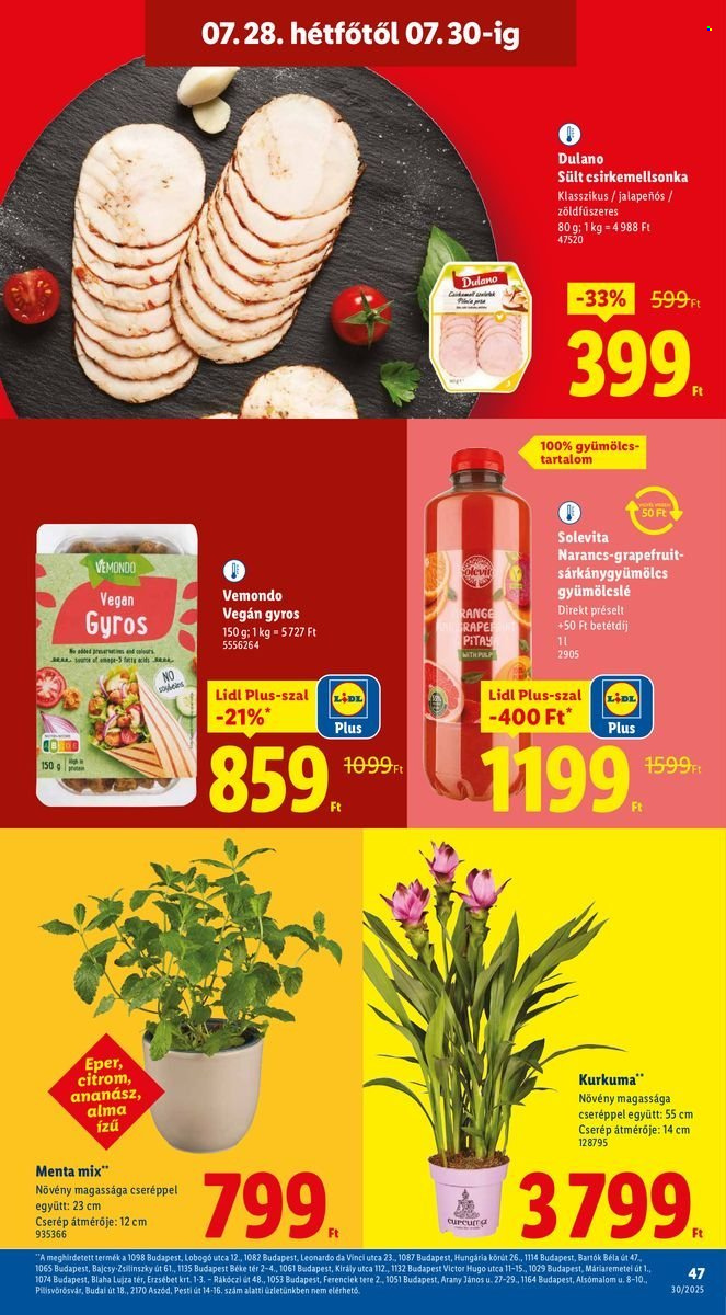 Lidl akciós újságok - 2025.07.24 - 2025.07.30. Oldal 47