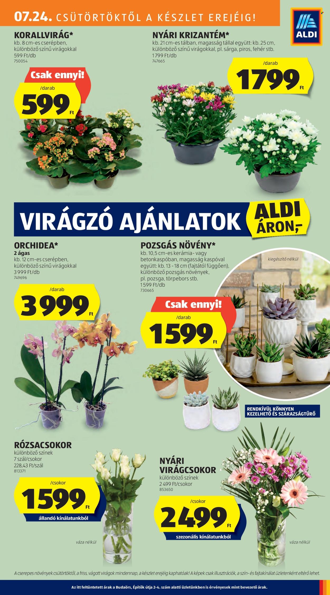 Aldi akciós újságok - 2025.07.24 - 2025.07.30. Oldal 27
