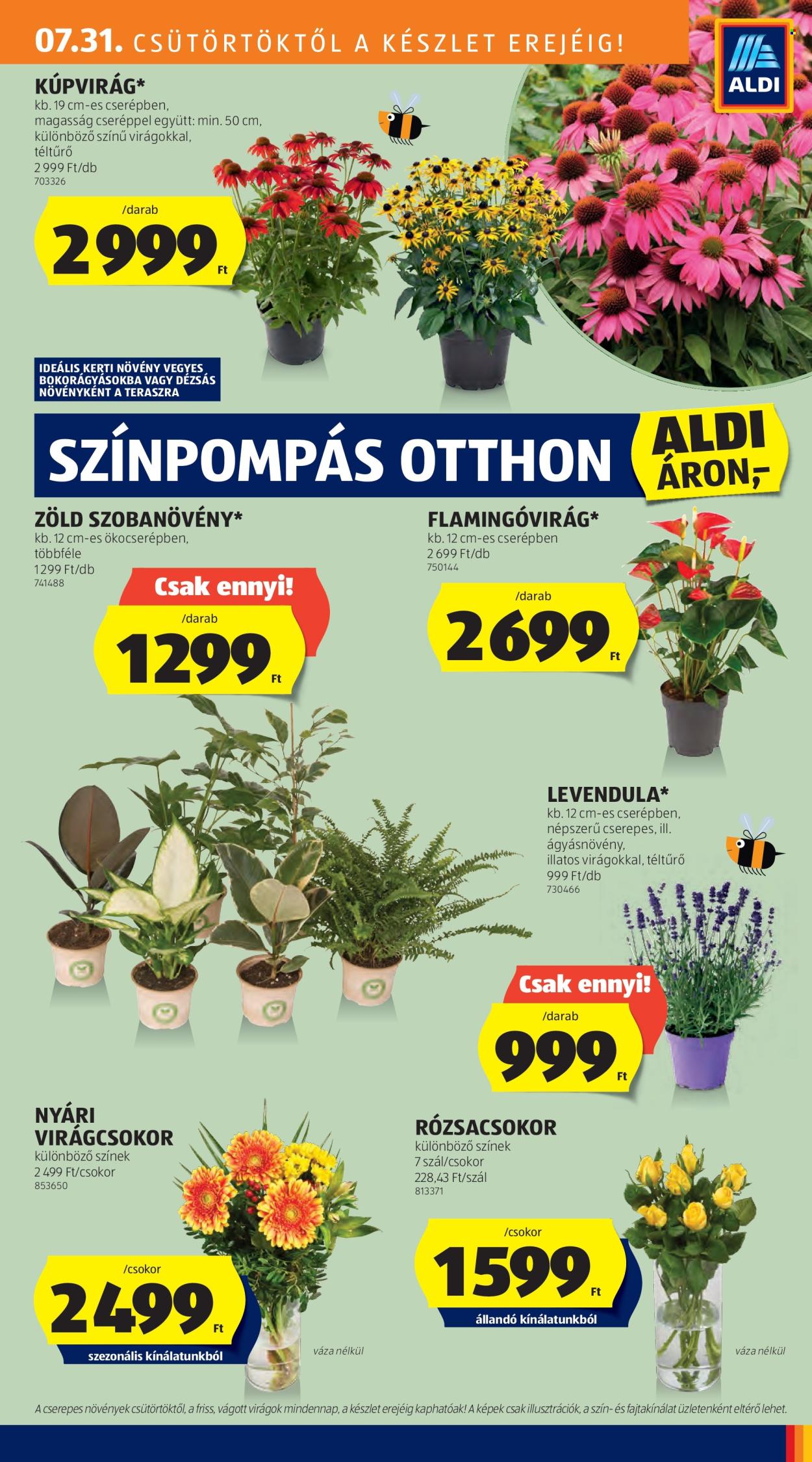 Aldi akciós újságok - 2025.07.31 - 2025.08.06. Oldal 10