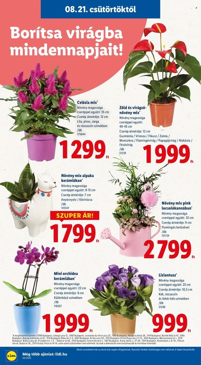 Lidl akciós újságok - 2025.08.21 - 2025.08.27. Oldal 16