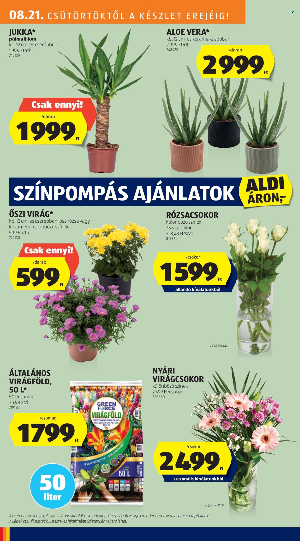 Aldi akciós újságok - 2025.08.21 - 2025.08.27. Oldal 26