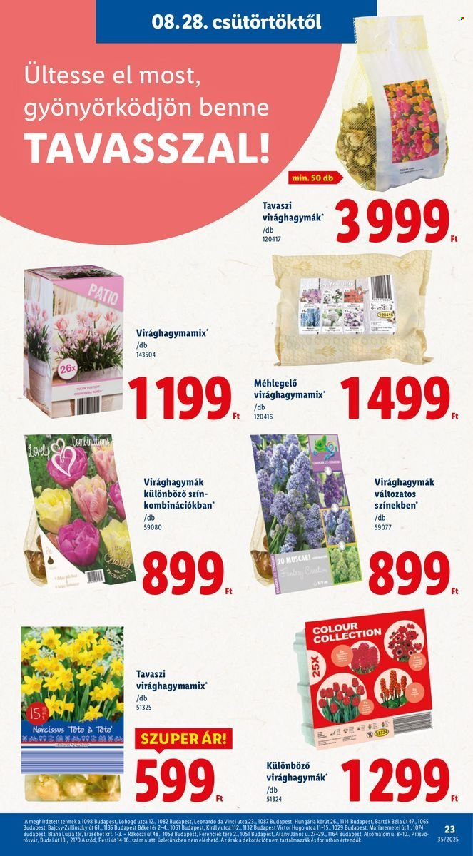 Lidl akciós újságok - 2025.08.28 - 2025.09.03. Oldal 23