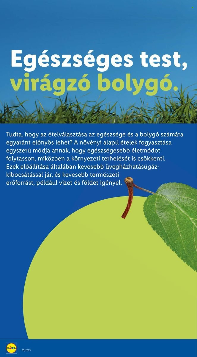 Lidl akciós újságok - 2025.08.28 - 2025.09.03. Oldal 32