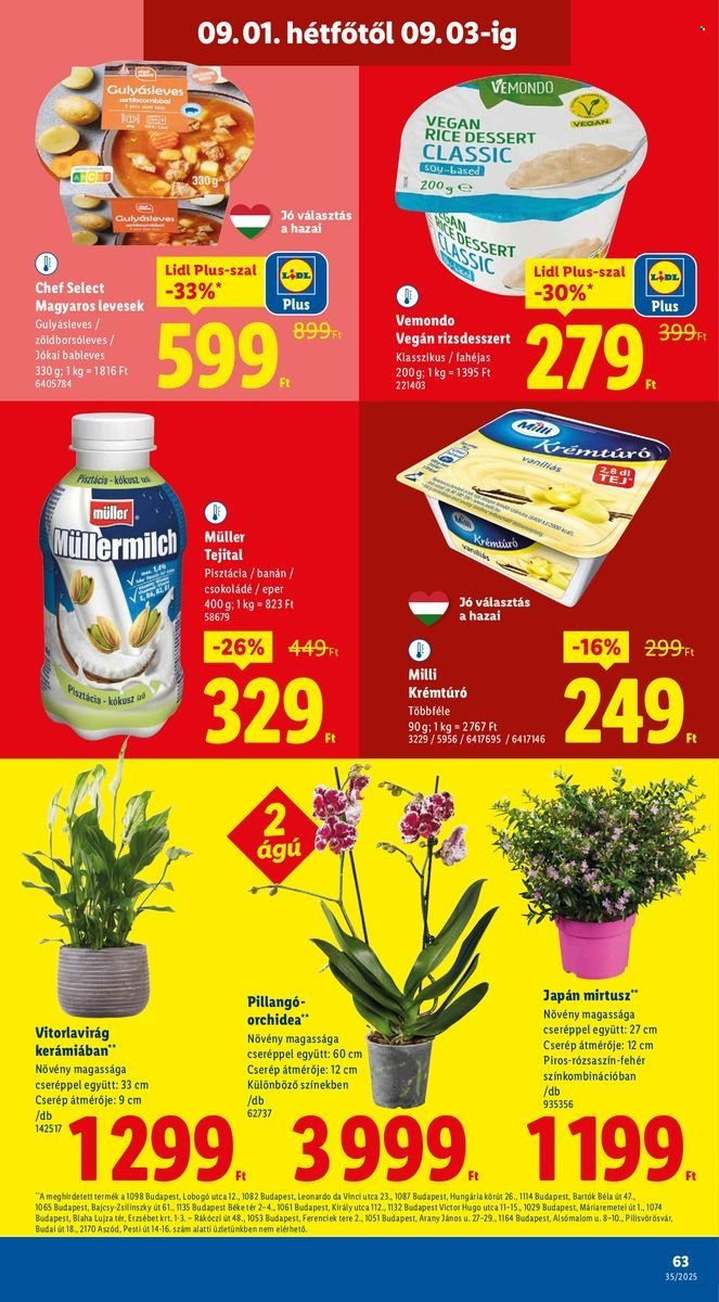 Lidl akciós újságok - 2025.08.28 - 2025.09.03. Oldal 63