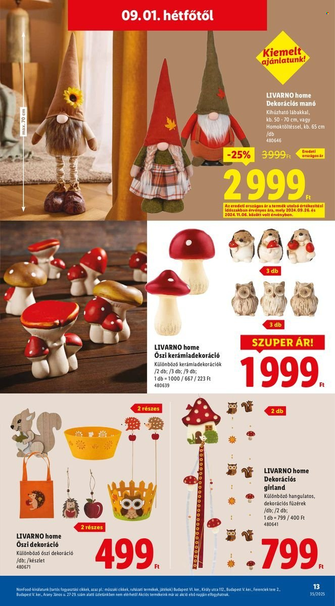 Lidl akciós újságok - 2025.08.28 - 2025.09.03. Oldal 13