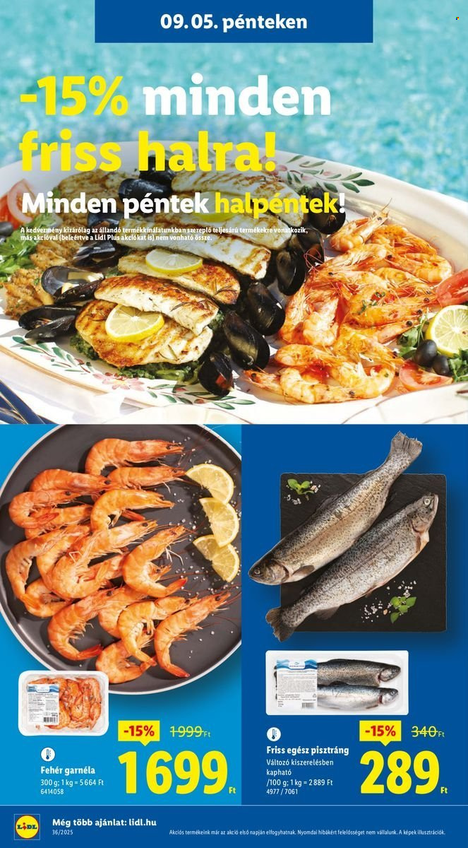 Lidl akciós újságok - 2025.09.04 - 2025.09.10. Oldal 40